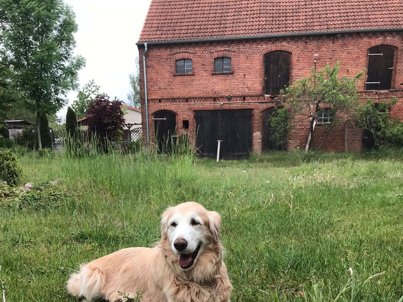 Ansicht 4 von DER TIERARZT Dr. Theobald in Schöneberg