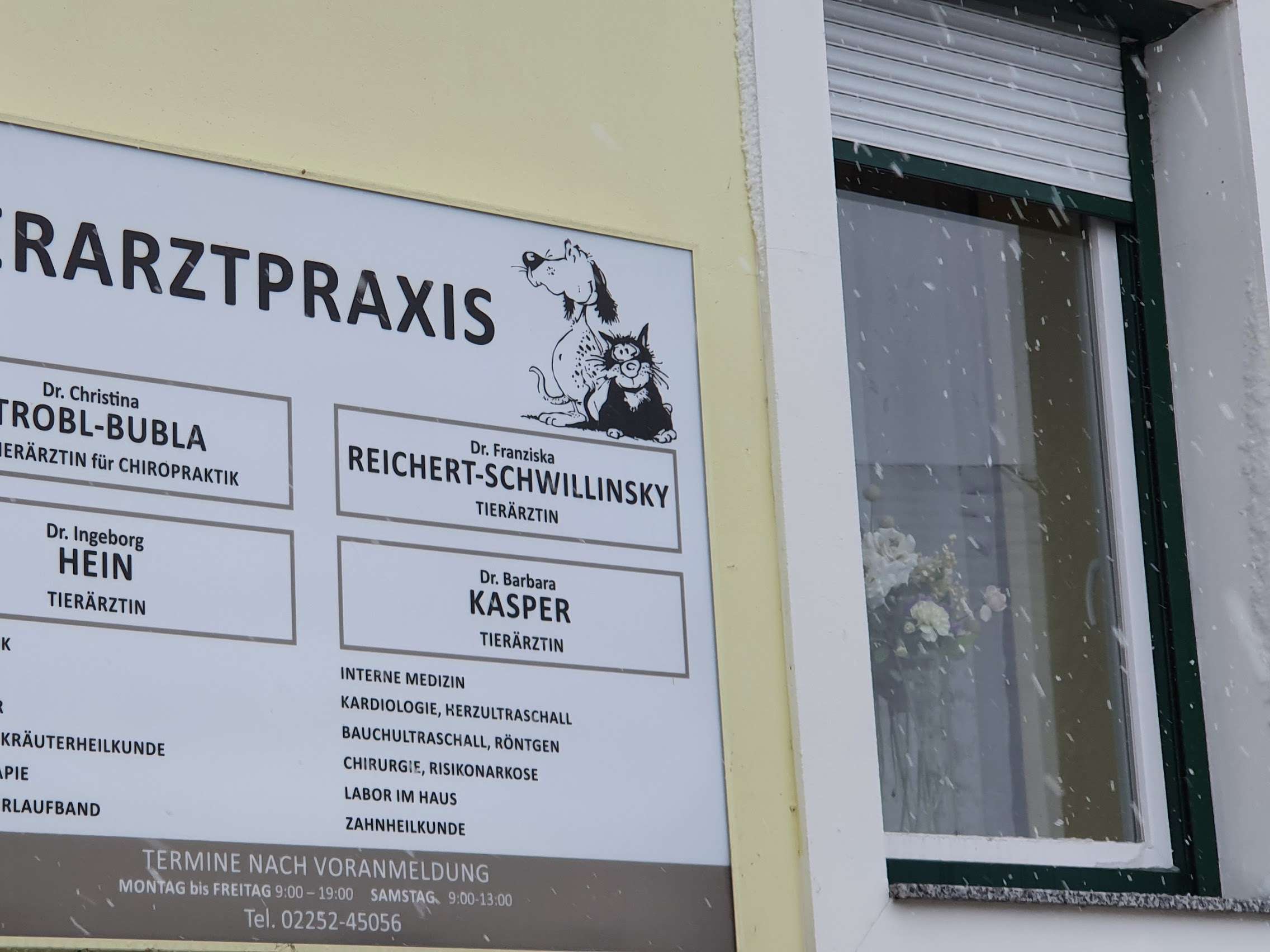 Ansicht 3 von Tierarzt Dr. Strobl-Bubla