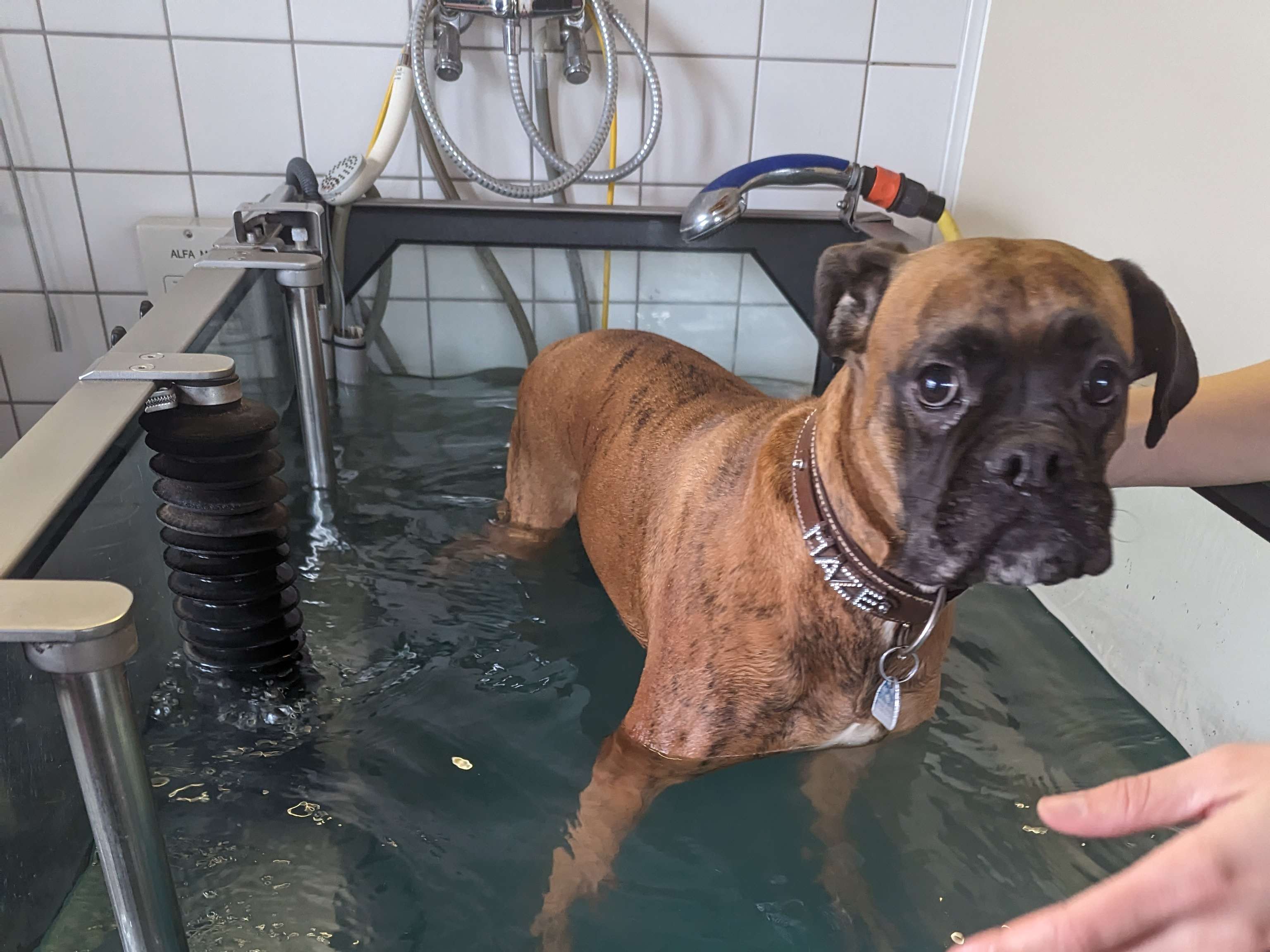 Ansicht 1 von TierGesundheitsZentrum Ritterhude