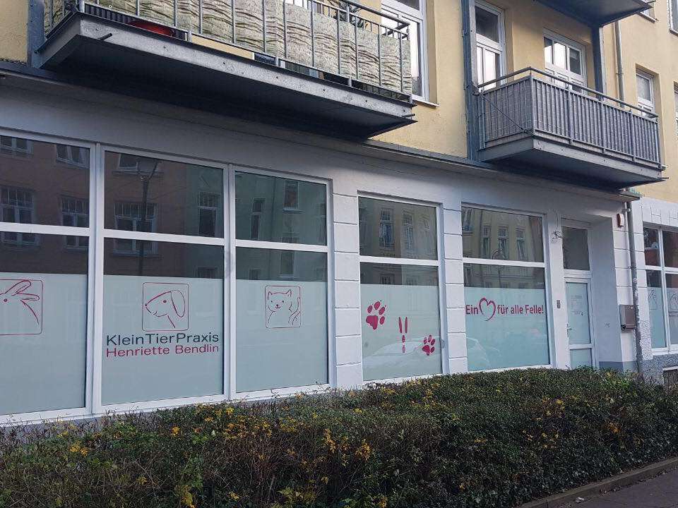Ansicht 1 von Kleintierpraxis Henriette Bendlin