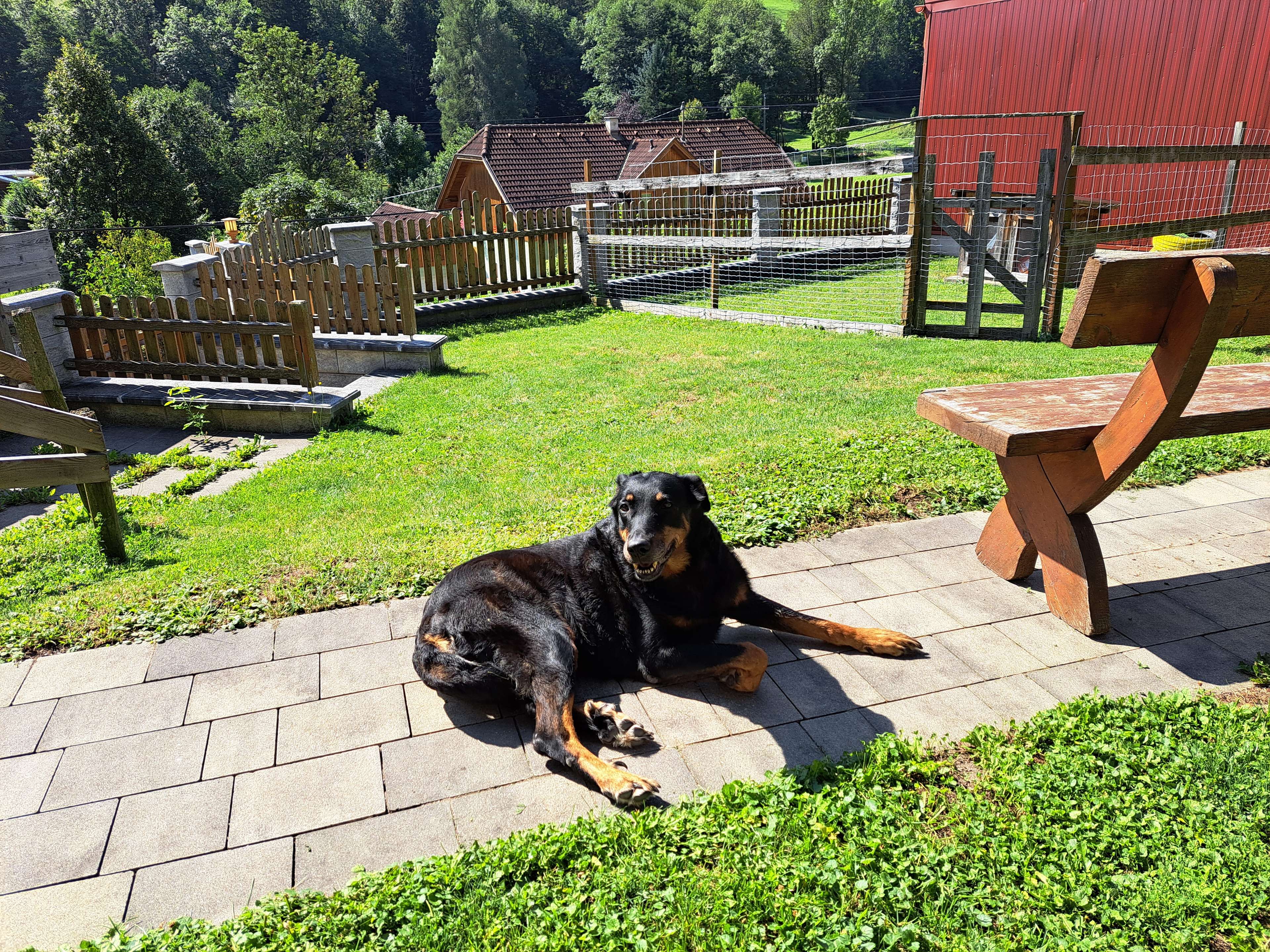 Ansicht 1 von Hundezucht Vom Sonwendsteinblick