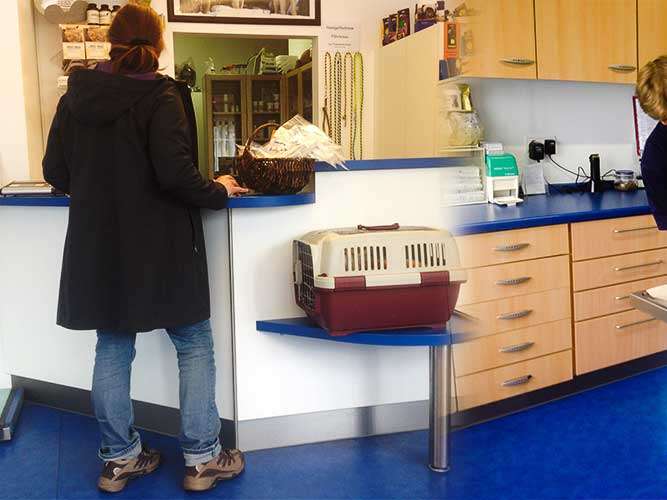 Ansicht 3 von Dr. med. vet. Gabriele Mühlbauer