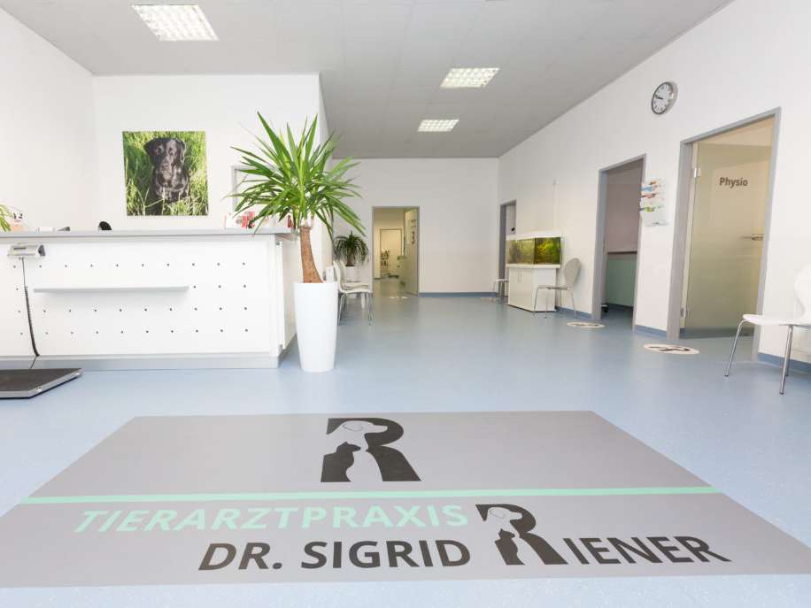 View 1 of Tierarztpraxis Dr. Sigrid Riener