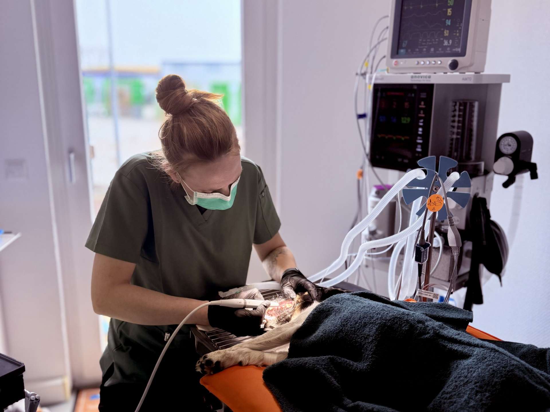 Ansicht 3 von Tierarztpraxis Vet Vitality