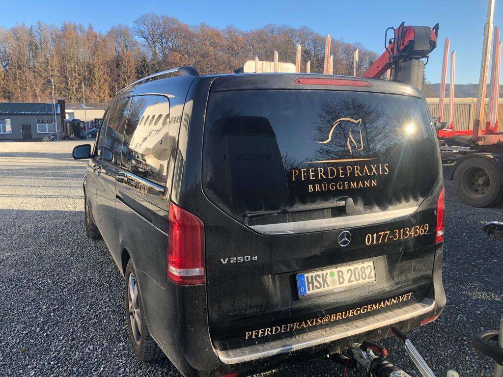 Ansicht 1 von Pferdepraxis Brüggemann