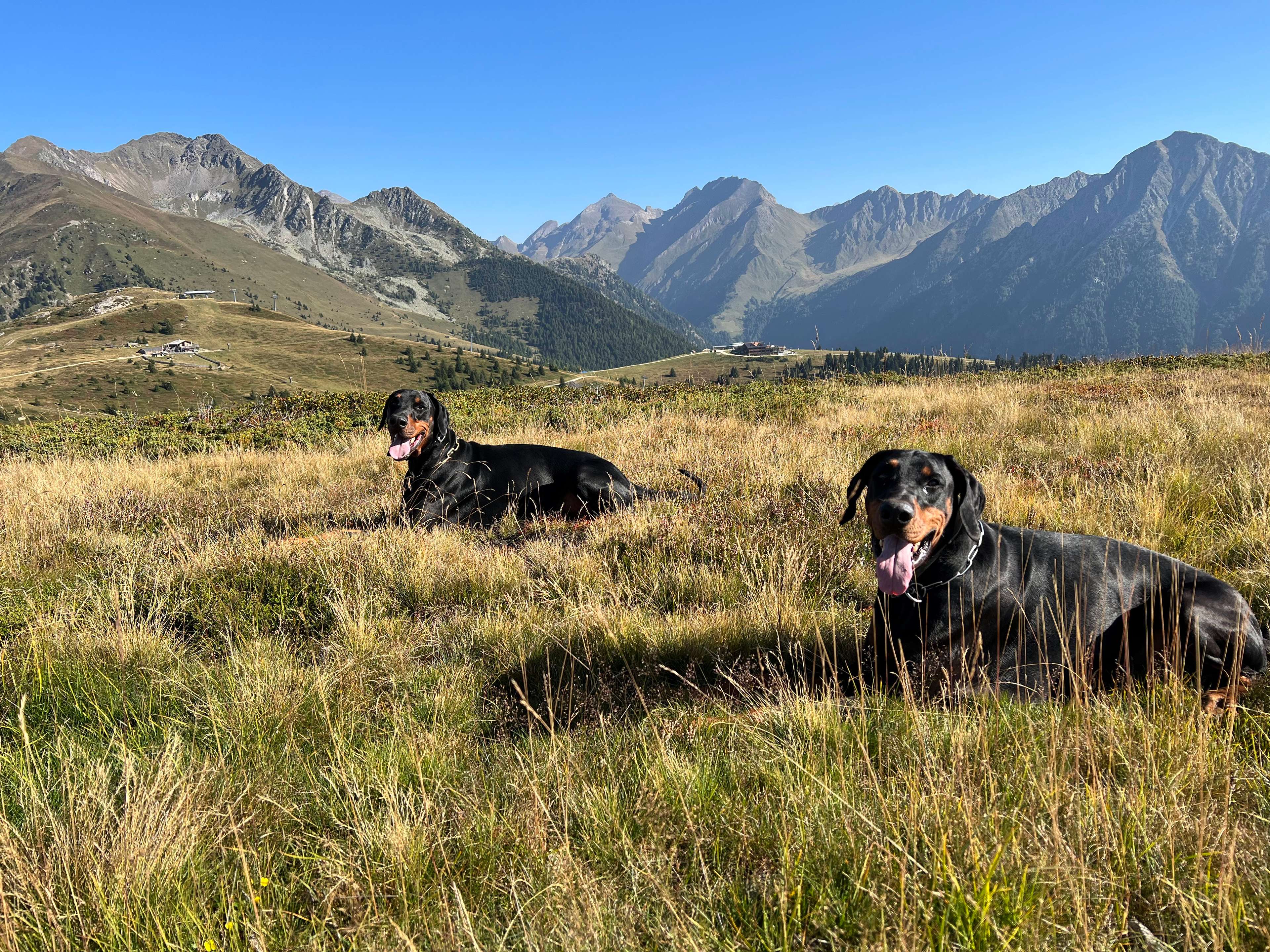 View 1 of Tierärztliche Gemeinschaftspraxis Dr. Olaf Behlert und Dr. Katja Teschner