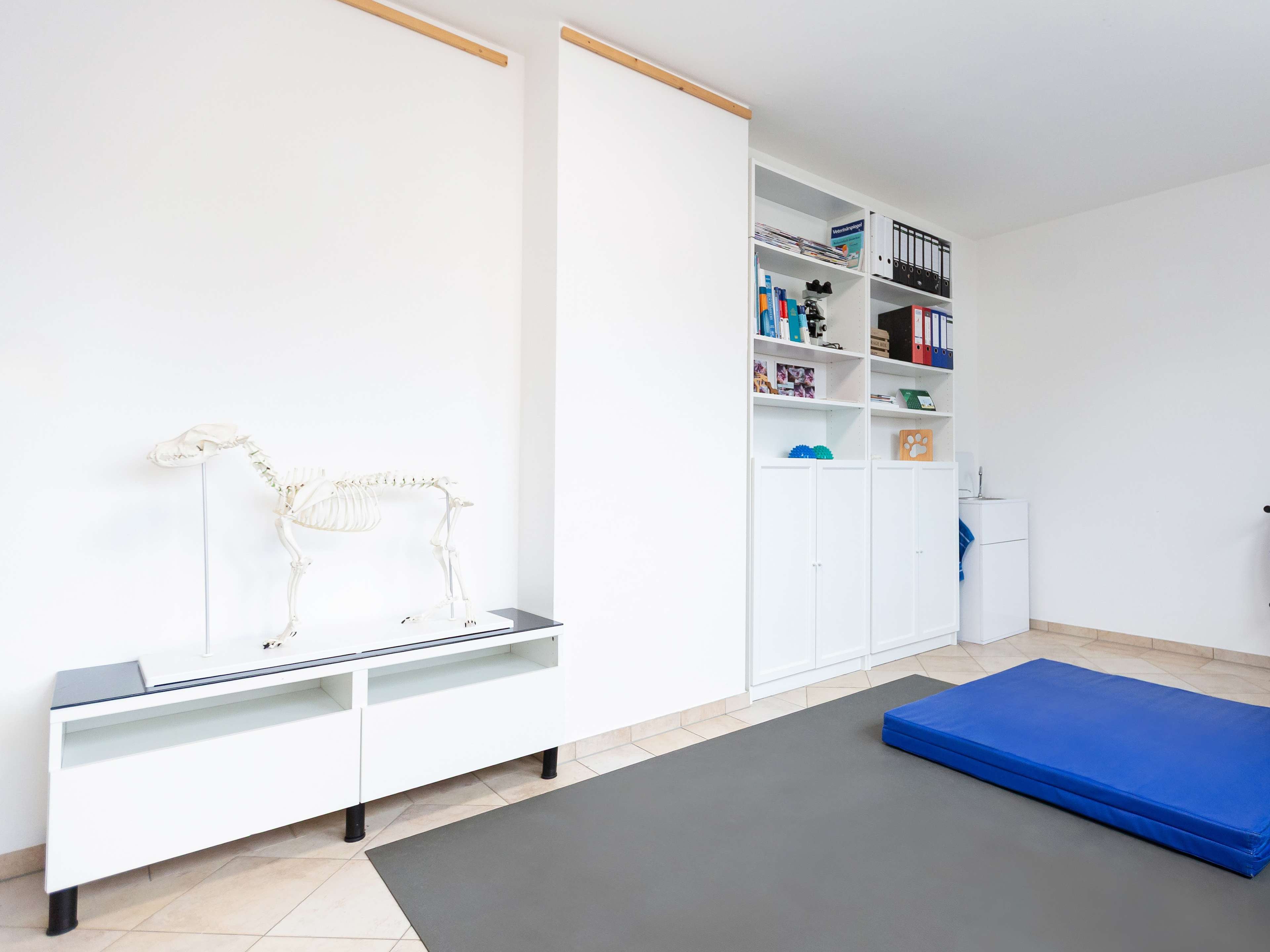 Ansicht 3 von Tierphysiotherapie am Schlossberg