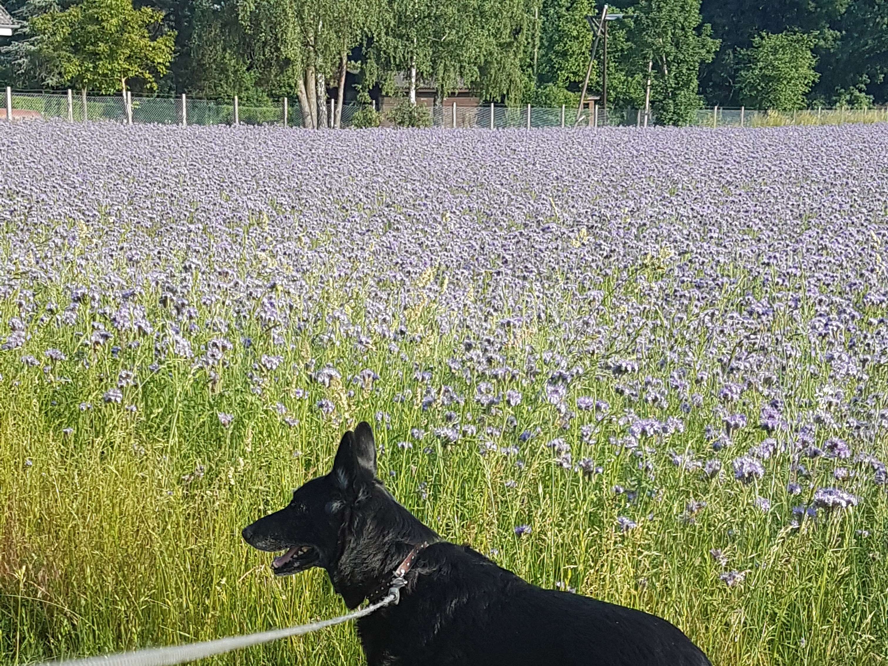 Ansicht 3 von Kleintierpraxis Heide Kersten