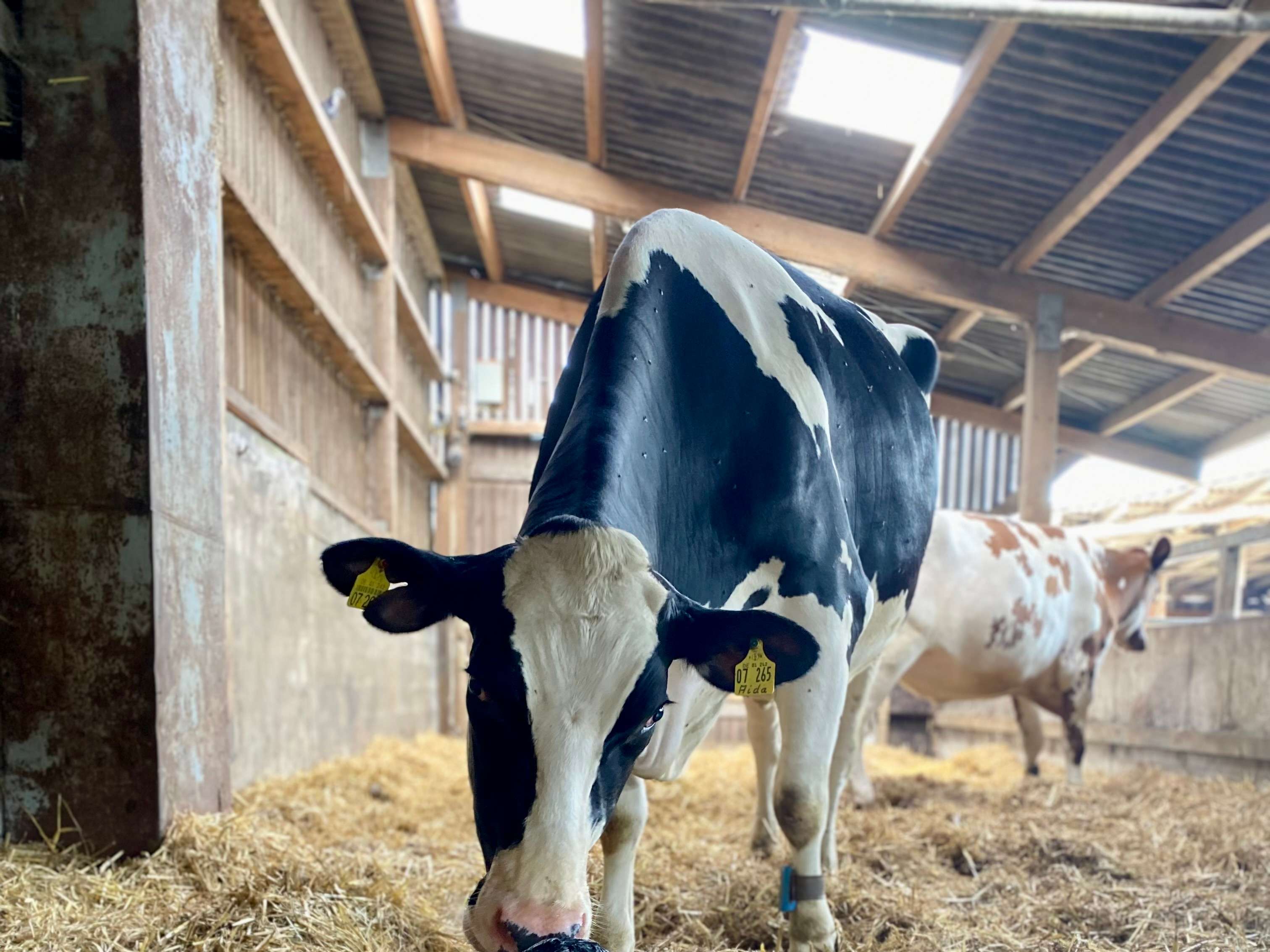 Ansicht 3 von Tierarztpraxis Michl und König