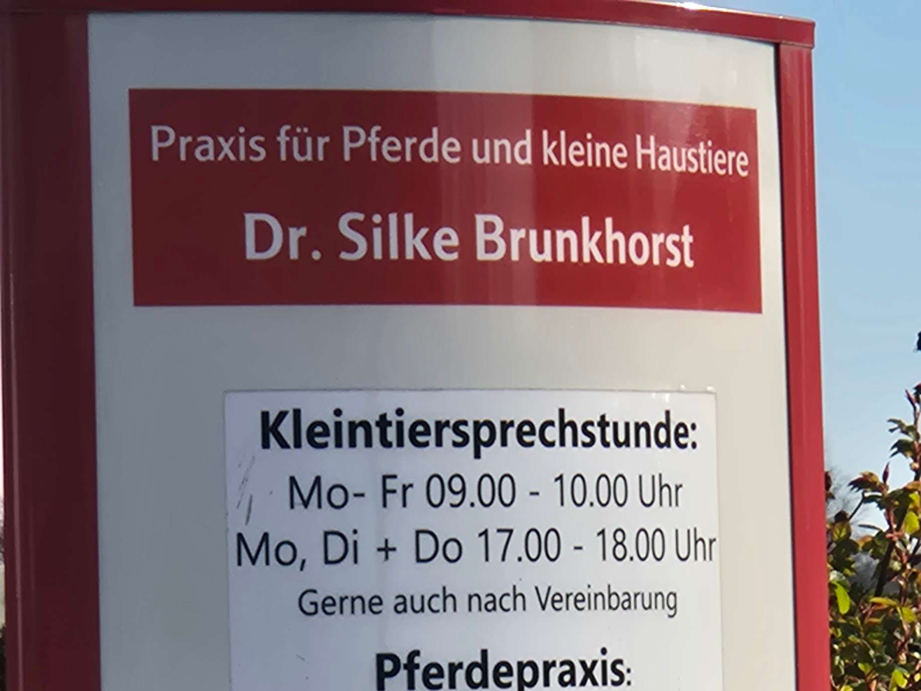 View 2 of Dr. Silke Brunkhorst