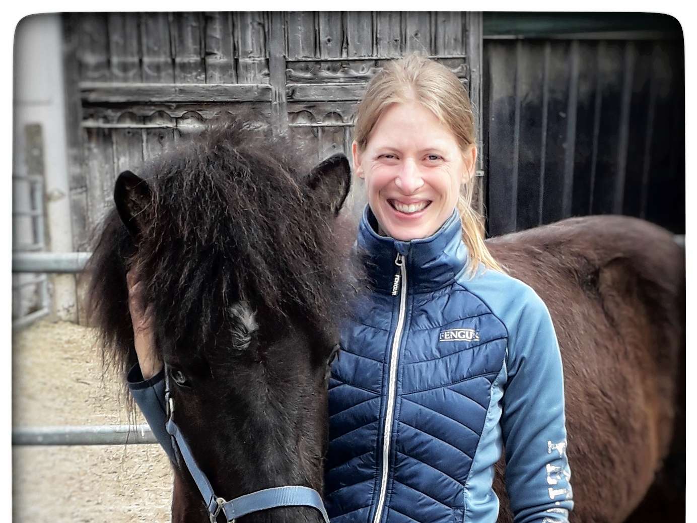 Ansicht 1 von Tierärztliche Praxis für Pferde Elke Kuehn geb. Ingwersen prakt. Tierärztin