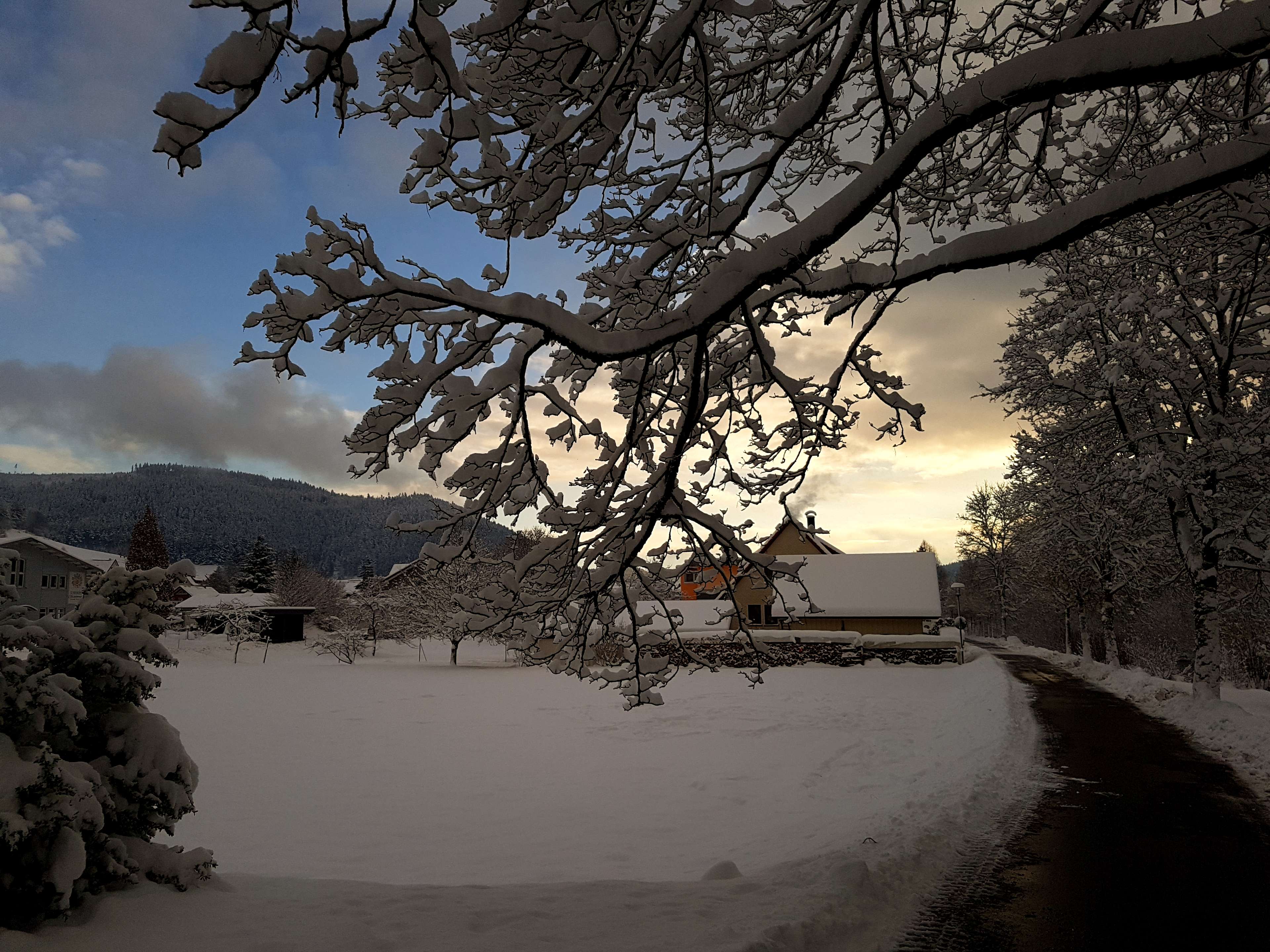 View 2 of Kleintierzentrum Mitteltal