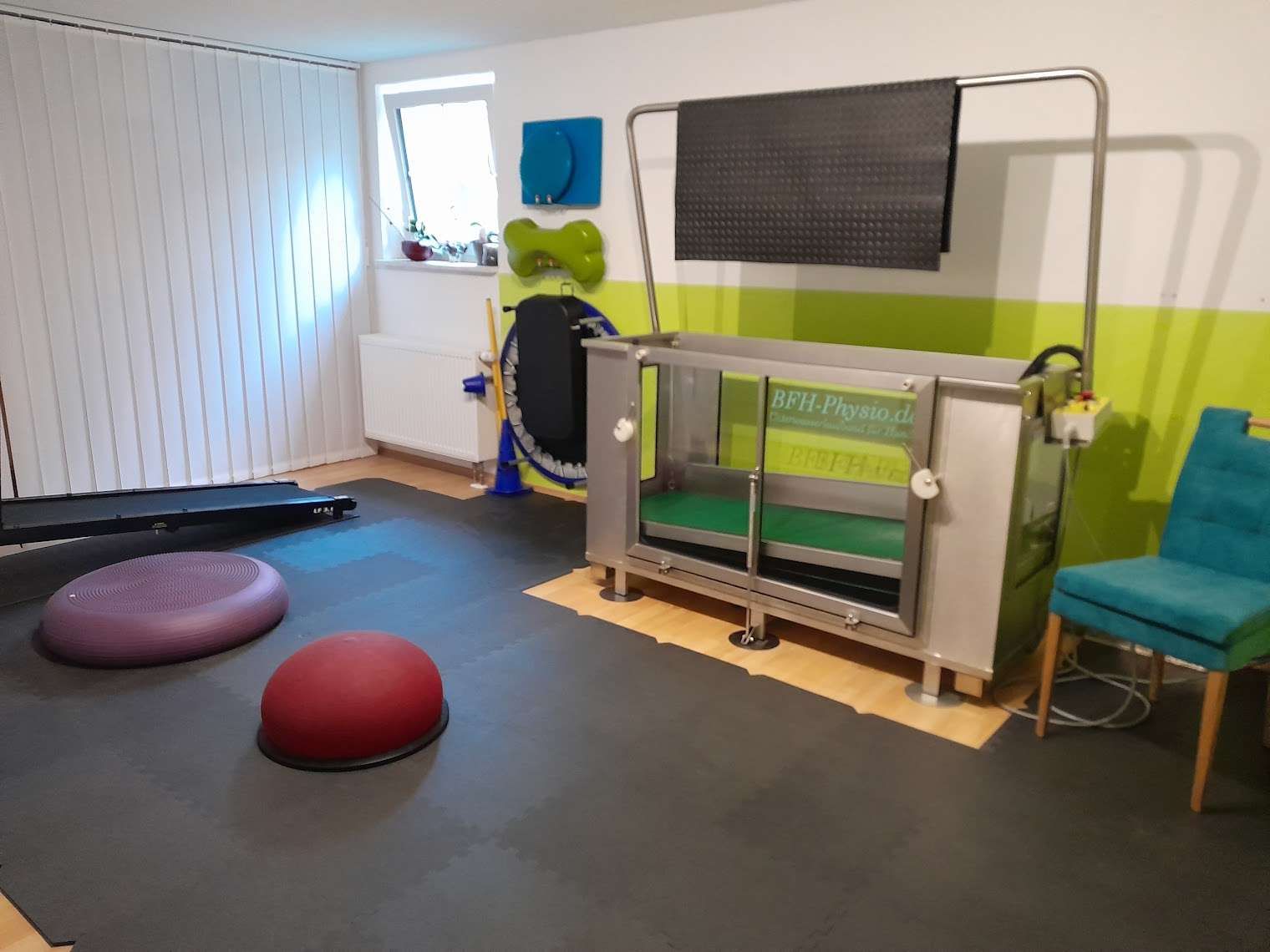 Ansicht 1 von Die Schmerzbehandlerin - Physiotherapie und Osteopathie für Hunde