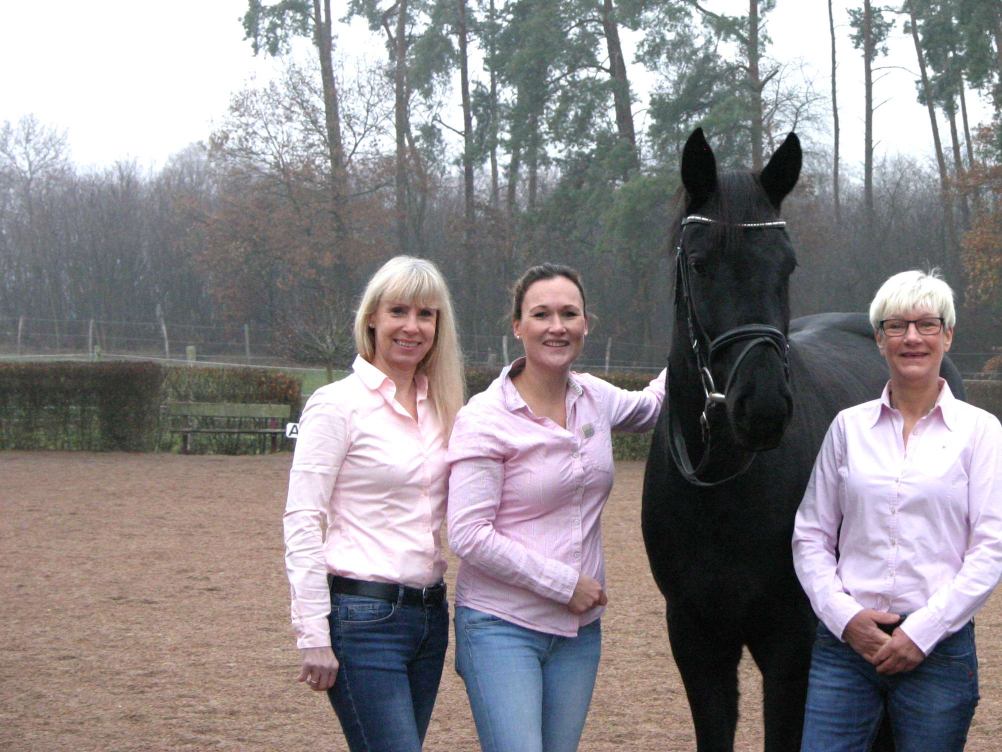 Ansicht 2 von Pferdepraxis Rehagen