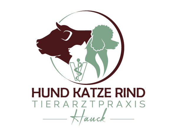 Ansicht 3 von Chiemsee Tierarzt - Gemeinschaftspraxis Dr. Weißmüller und Hauck GbR