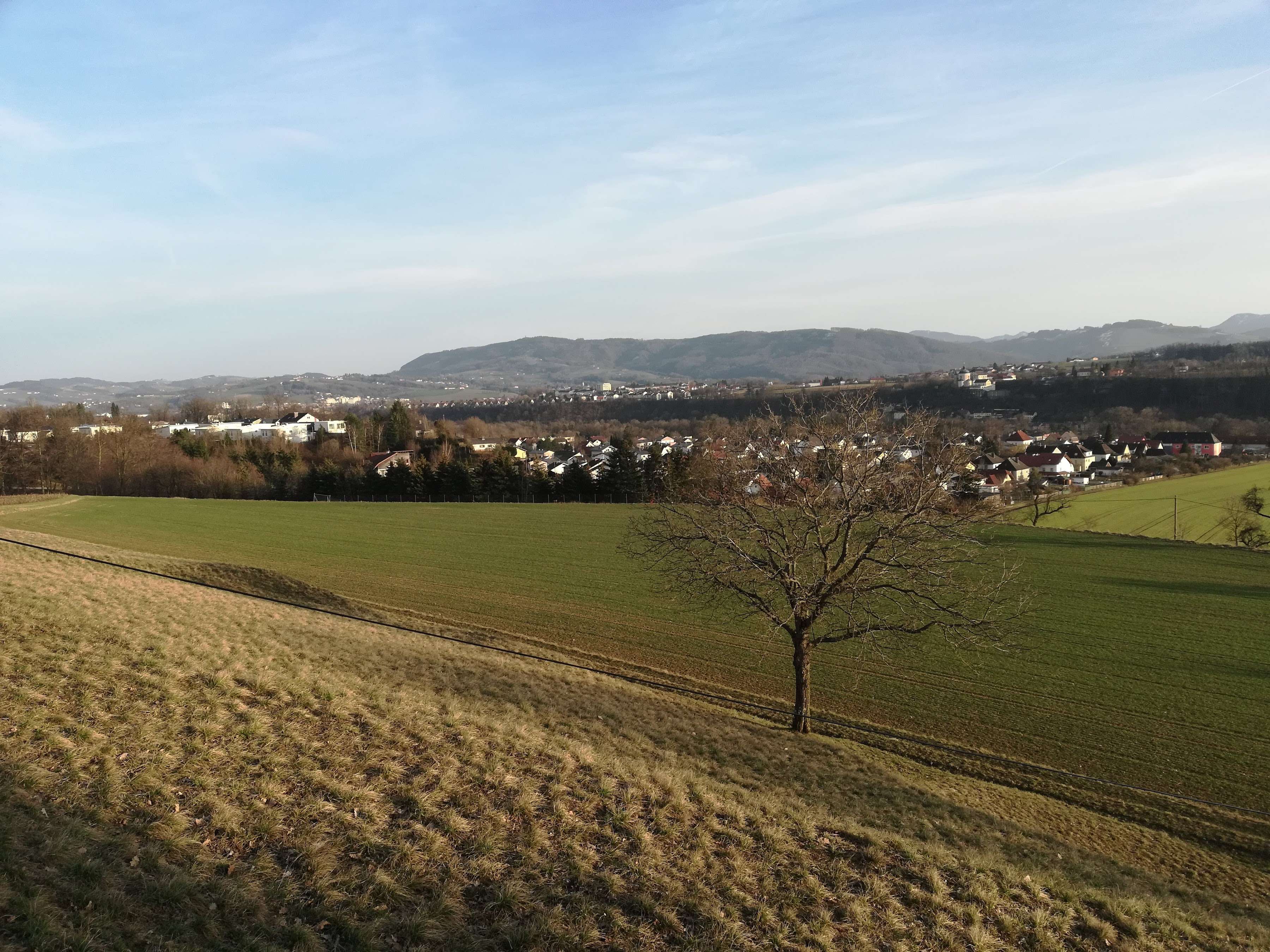 Ansicht 2 von Kleintierpraxis Staffelmayr