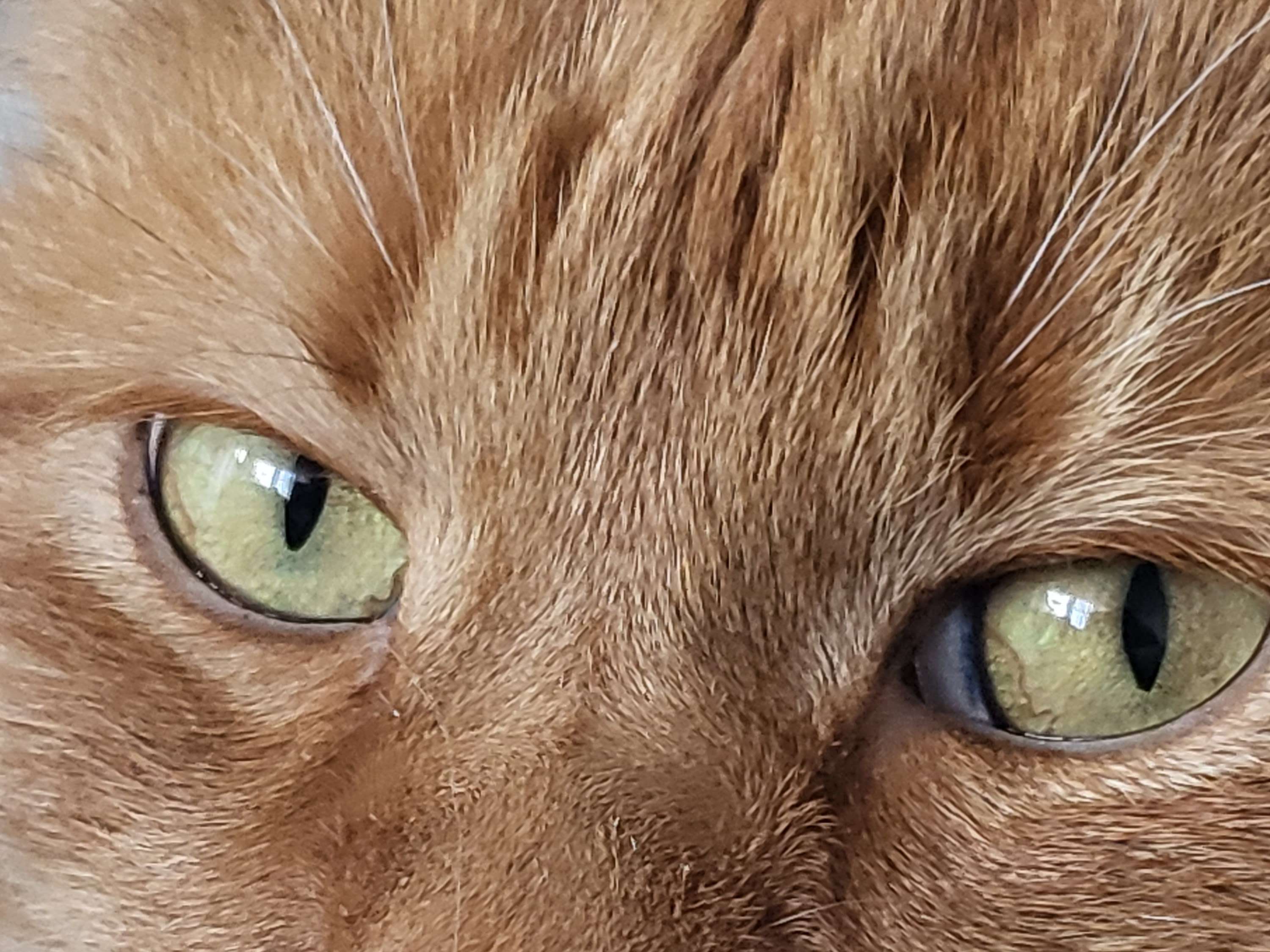 Ansicht 3 von Dr.med.vet. Bärbel Küsters Tierärztin