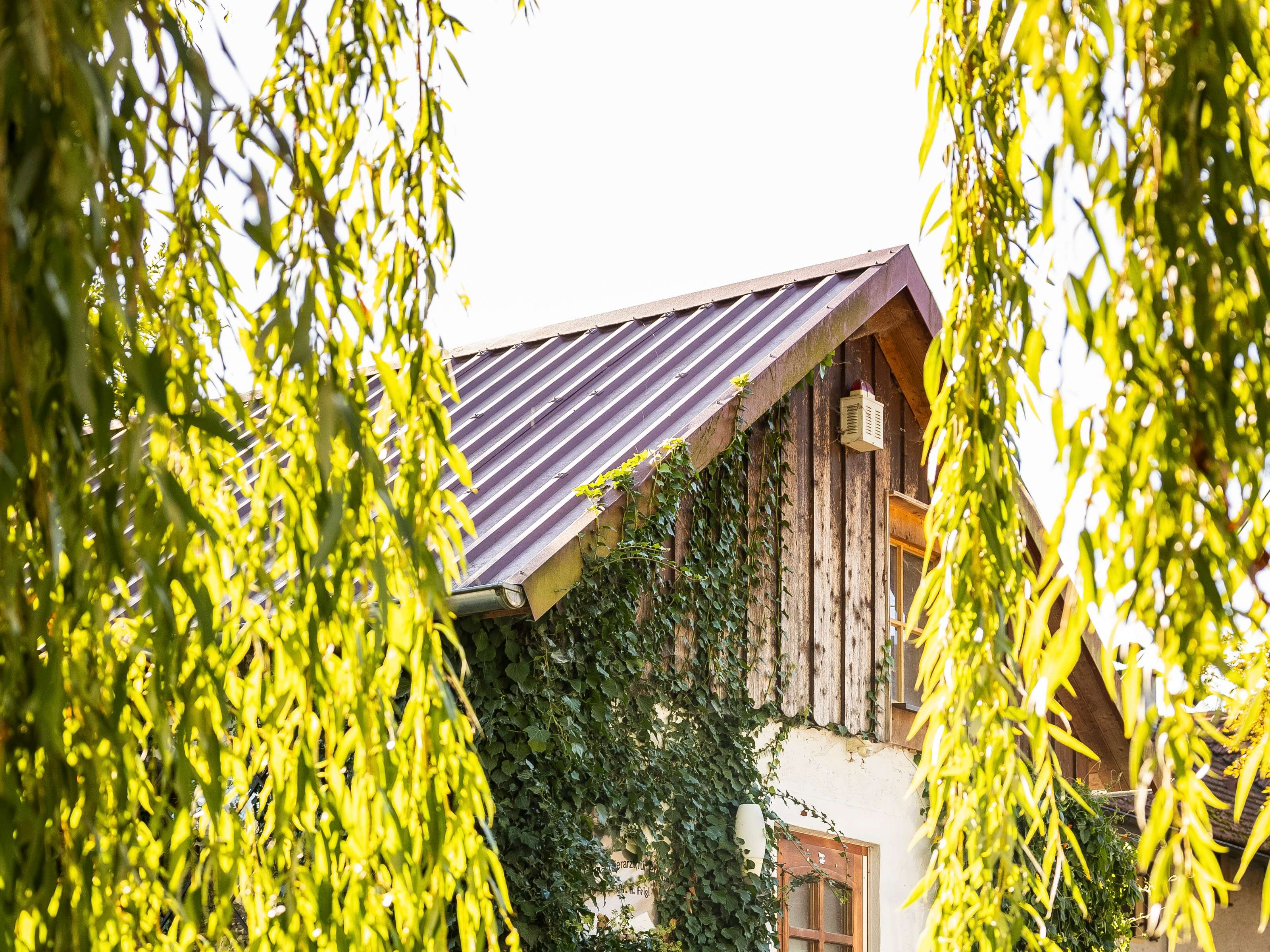 Ansicht 3 von Pferdepraxis Anham GmbH
