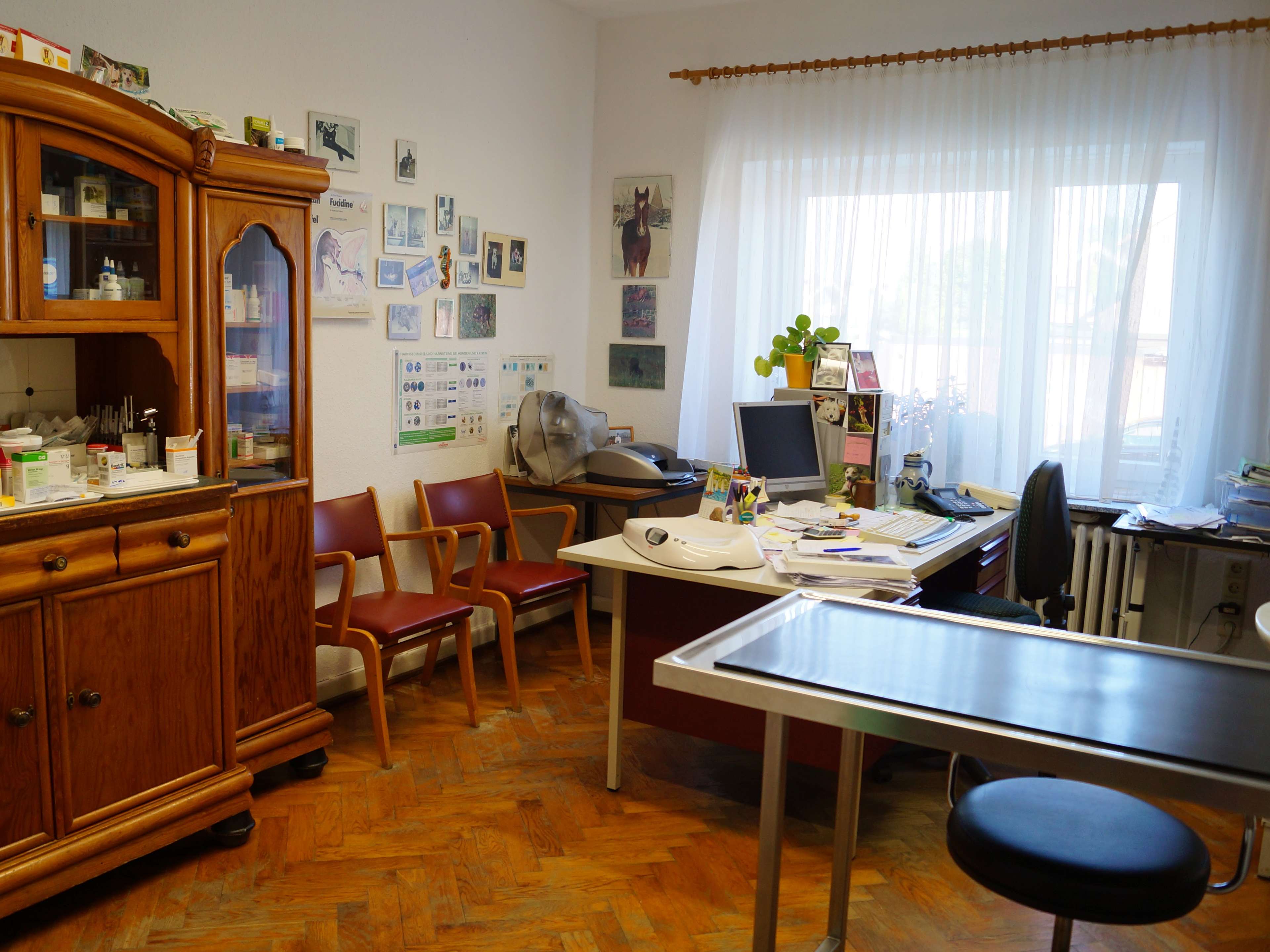 View 1 of Dr. med. vet. Birgit Lier