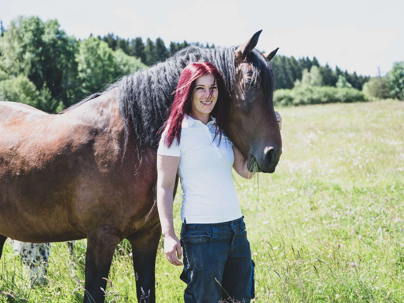 Ansicht 1 von Die Hufexperten – Sabine Thur