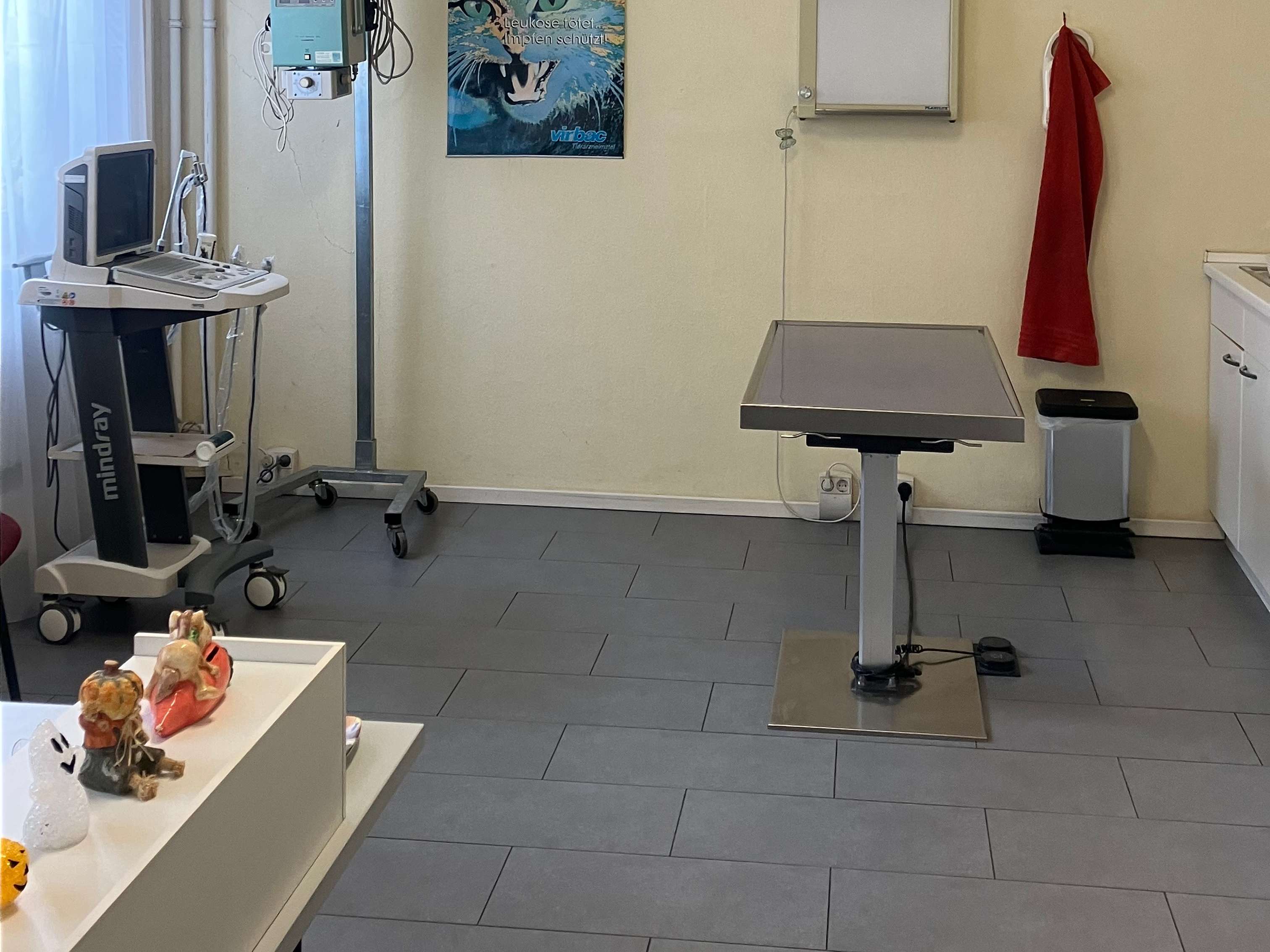 Ansicht 3 von Dr. Gabriele Hackl