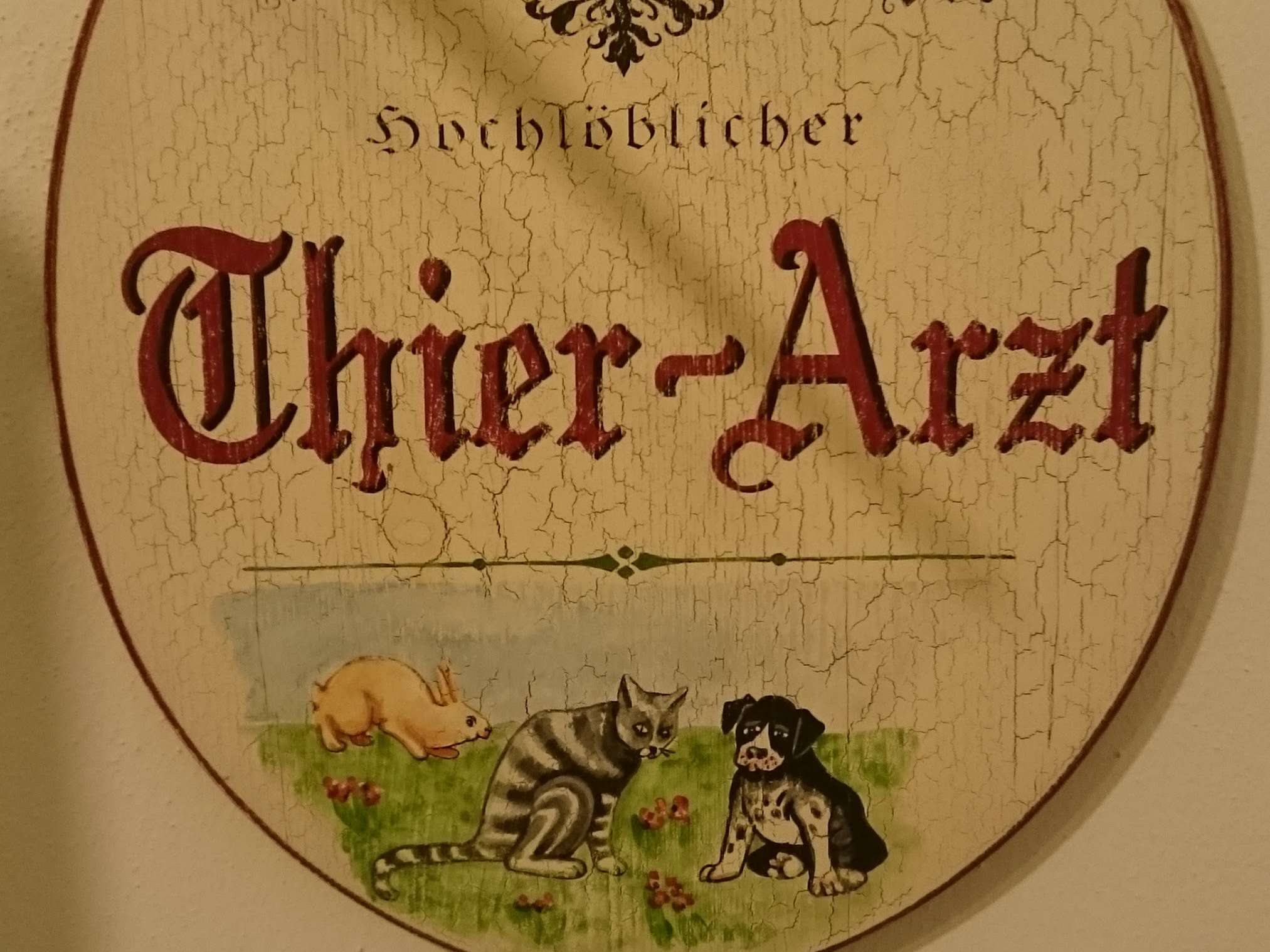 Ansicht 1 von Dr. Robert Alversammer