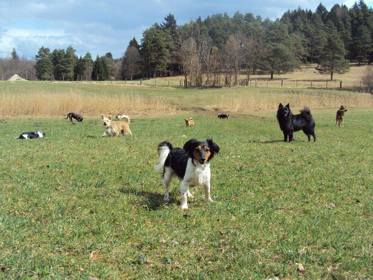 Ansicht 4 von Tierarztpraxis Siems