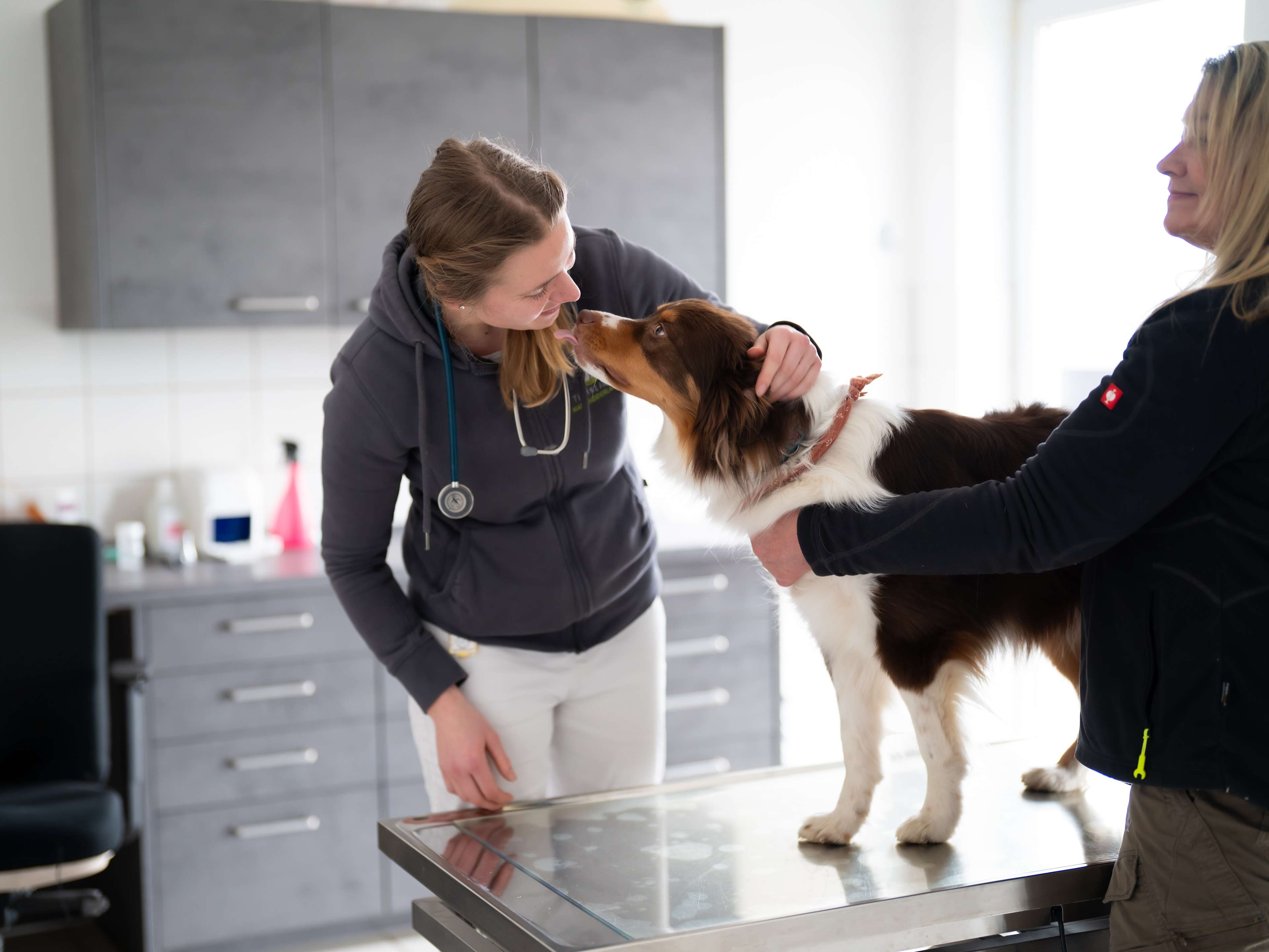 Ansicht 1 von KLEINTIERPRAXIS der Tierklinik Maischeiderland