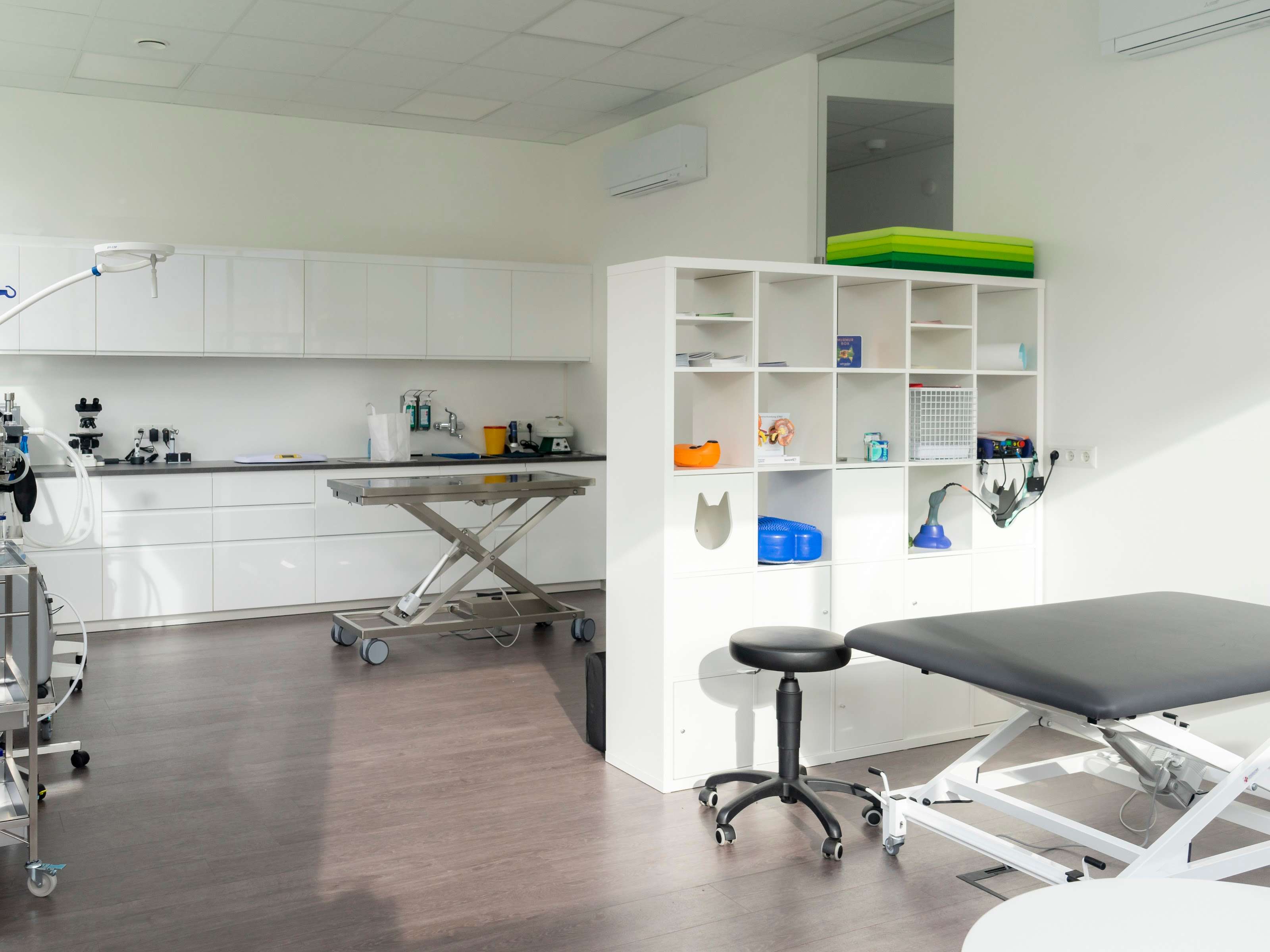 Ansicht 2 von OrthoDoc Vet – Tierarztpraxis mit Schwerpunkt Orthopädie und Physiotherapie