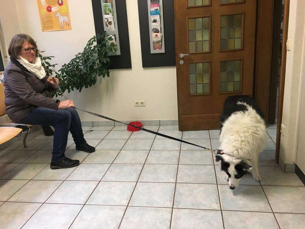 Ansicht 1 von Tierärztliche Gemeinschaftspraxis Beeke & Grijsen