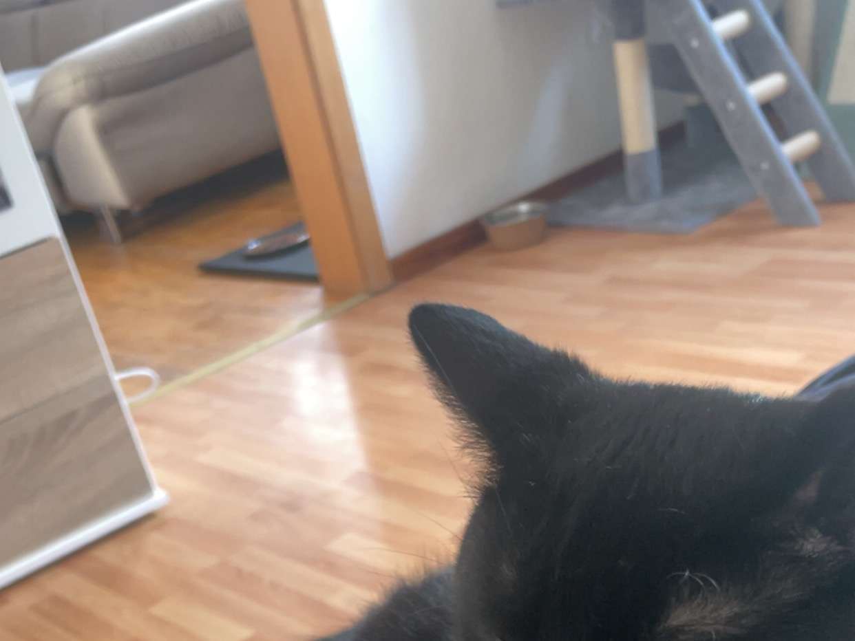 Ansicht 3 von Tierärztin Boguslawa Daglis