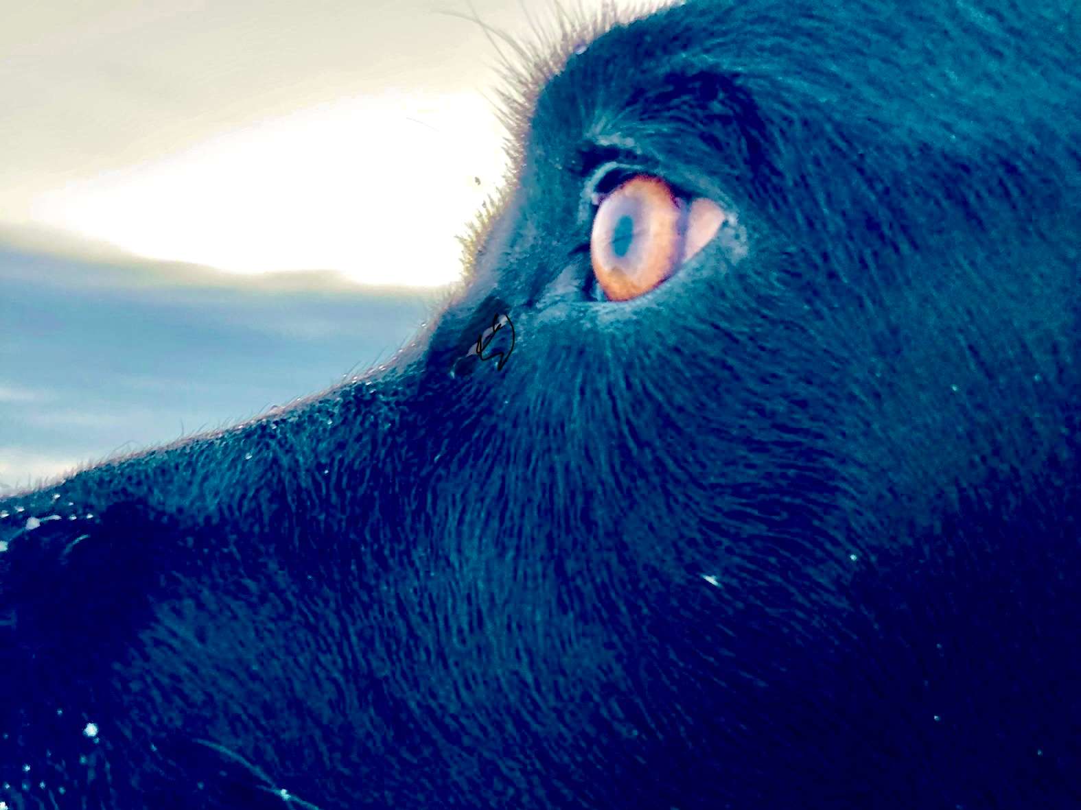 Ansicht 1 von Tierarztpraxis Heermann