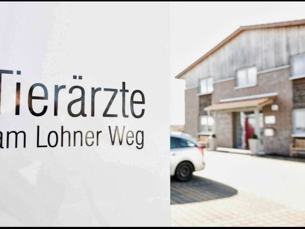 Ansicht 1 von Ihre Tierärzte am Lohner Weg | Fachtierärztliche Praxis für Kleintiere