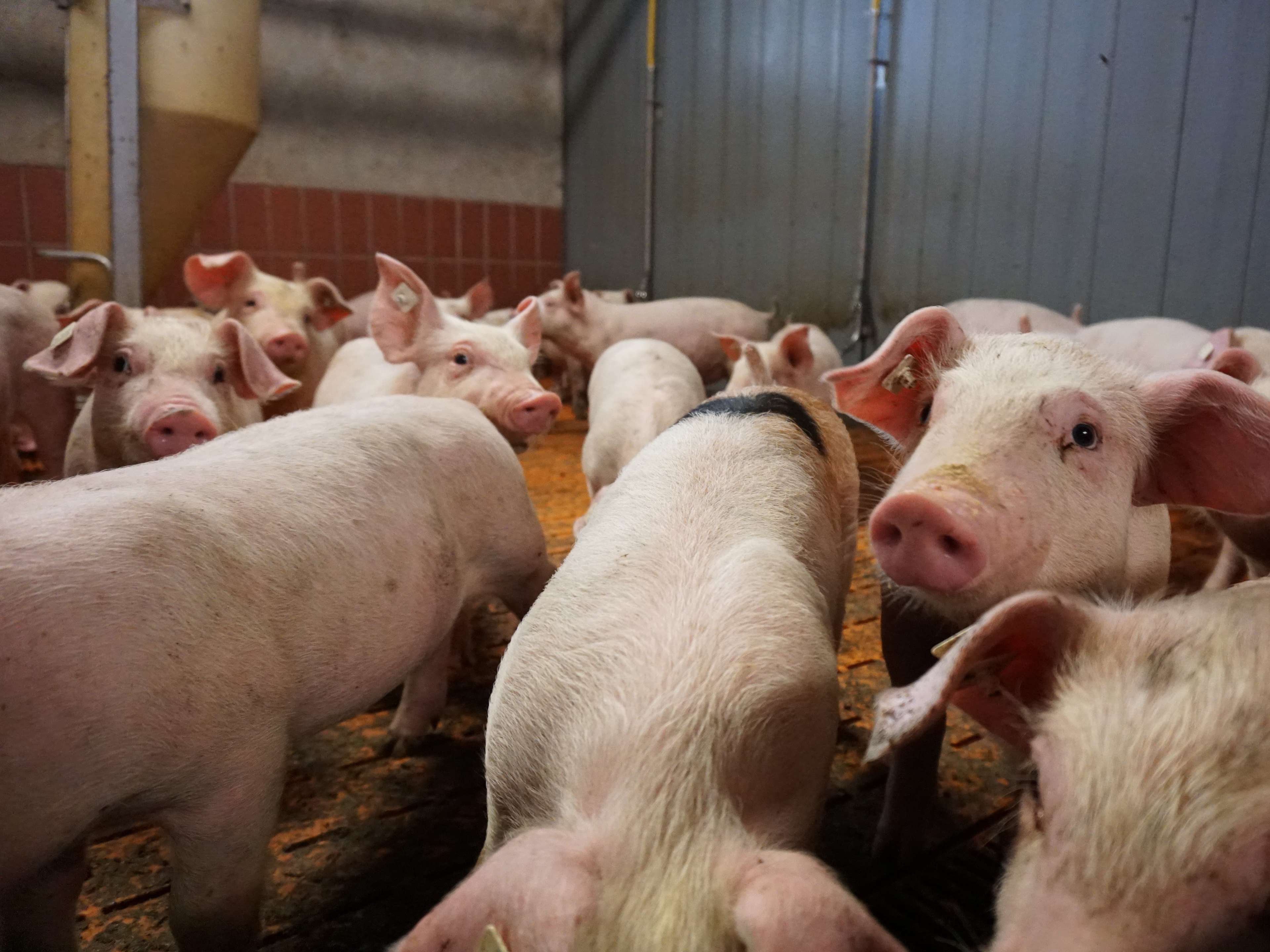 Ansicht 3 von Tierarztpraxis am Brettberg GbR