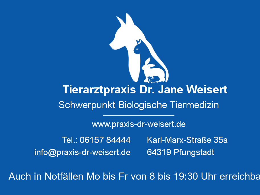 Ansicht 1 von Tierarztpraxis Dr. Jane Weisert