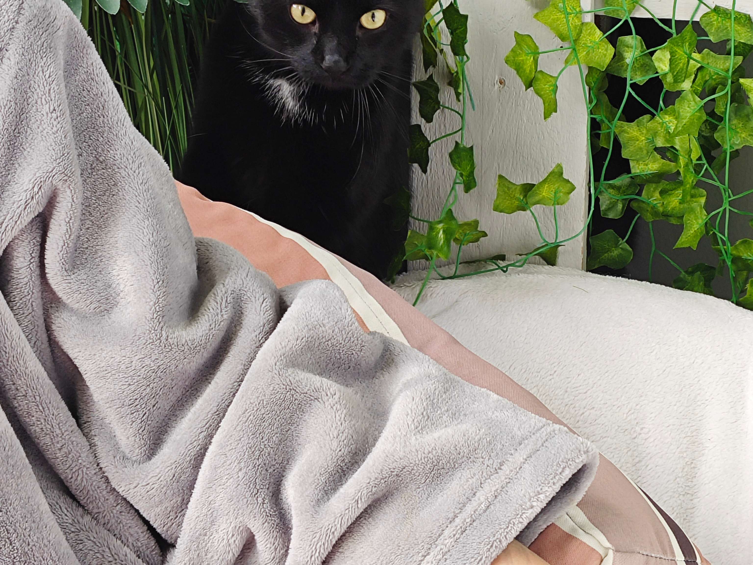 Ansicht 3 von Venthien Sabine Dr.med.vet. Tierärztin