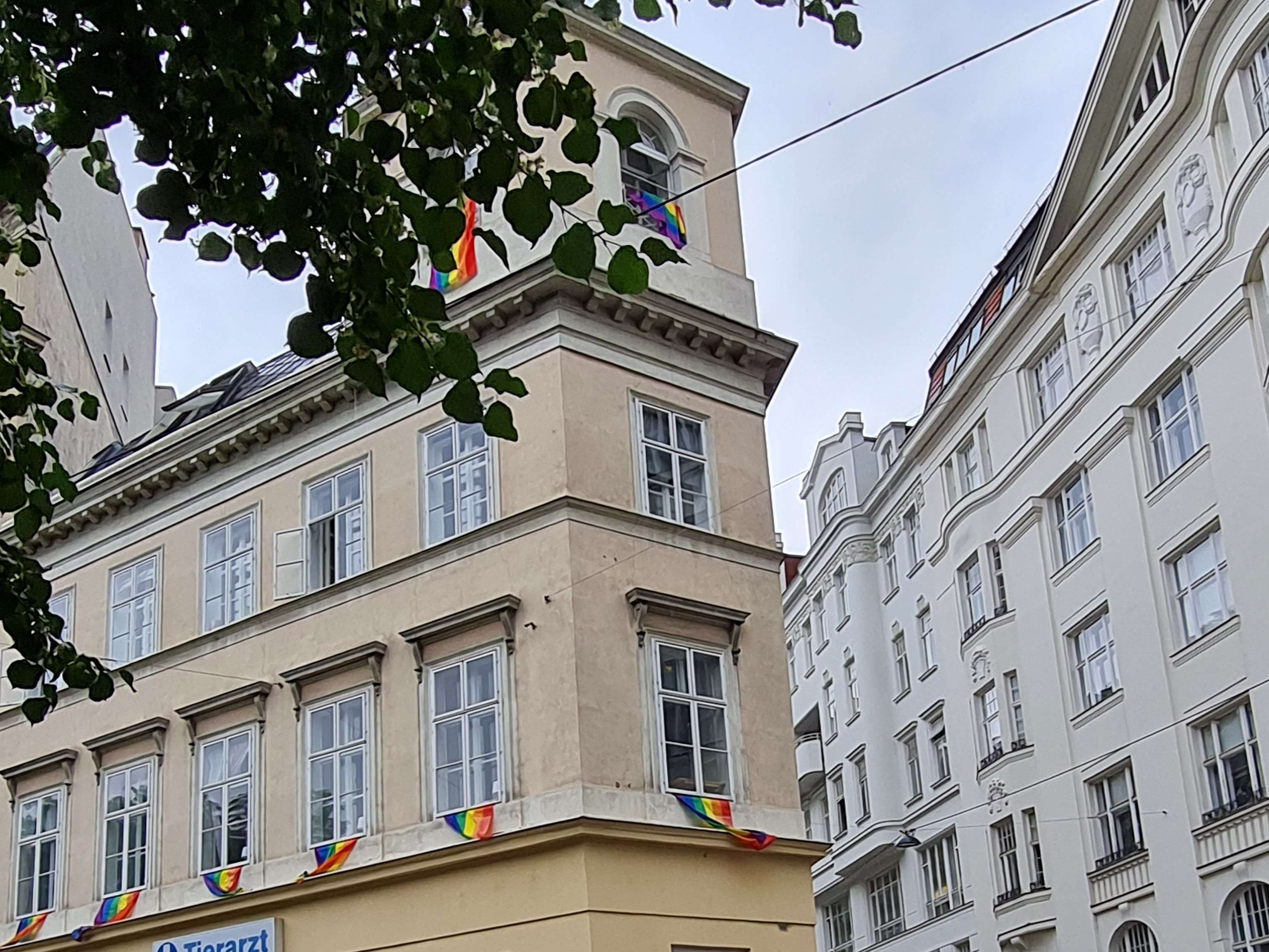 Ansicht 1 von Tierarzt