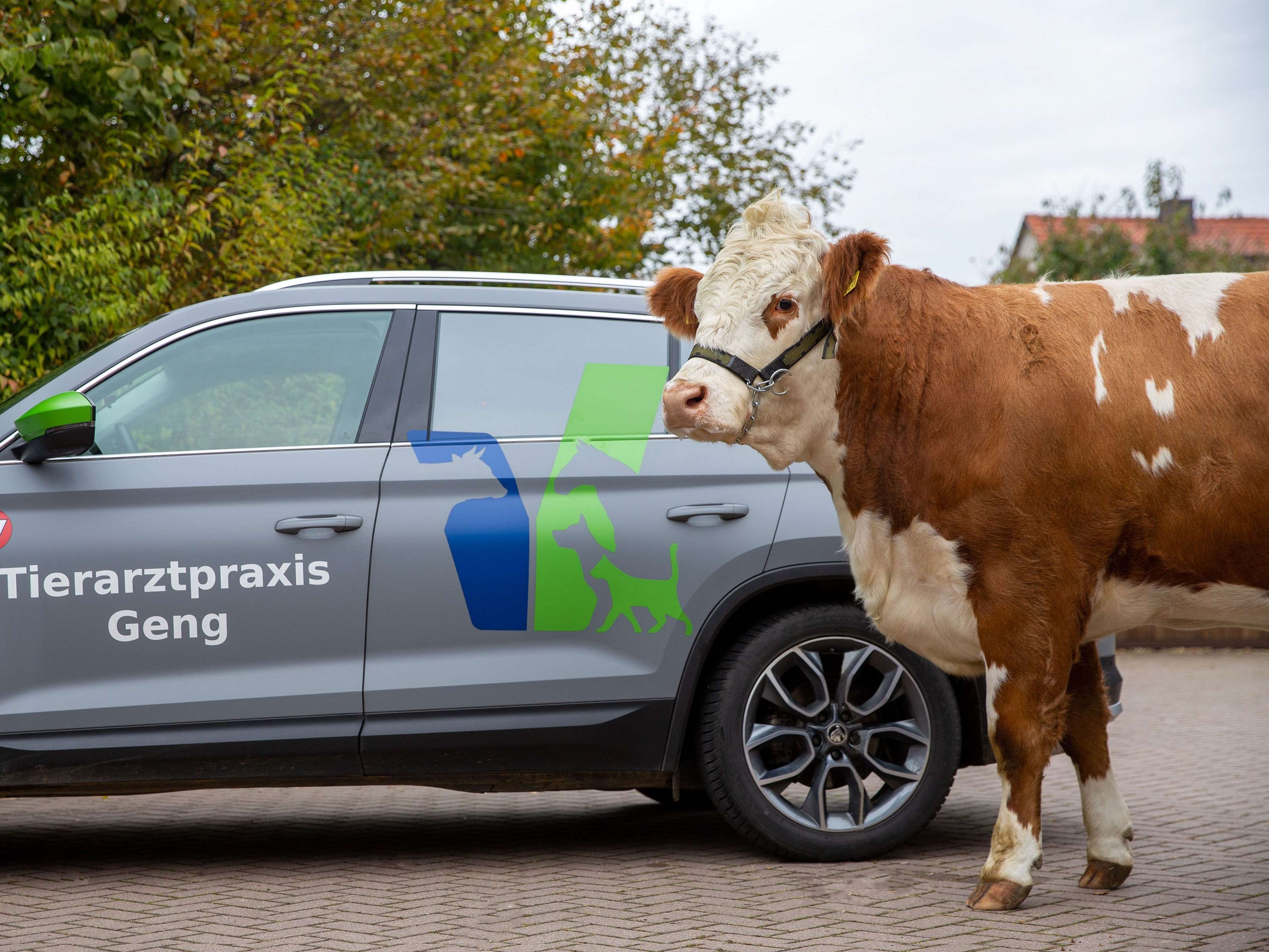 Ansicht 1 von Tierarztpraxis Geng