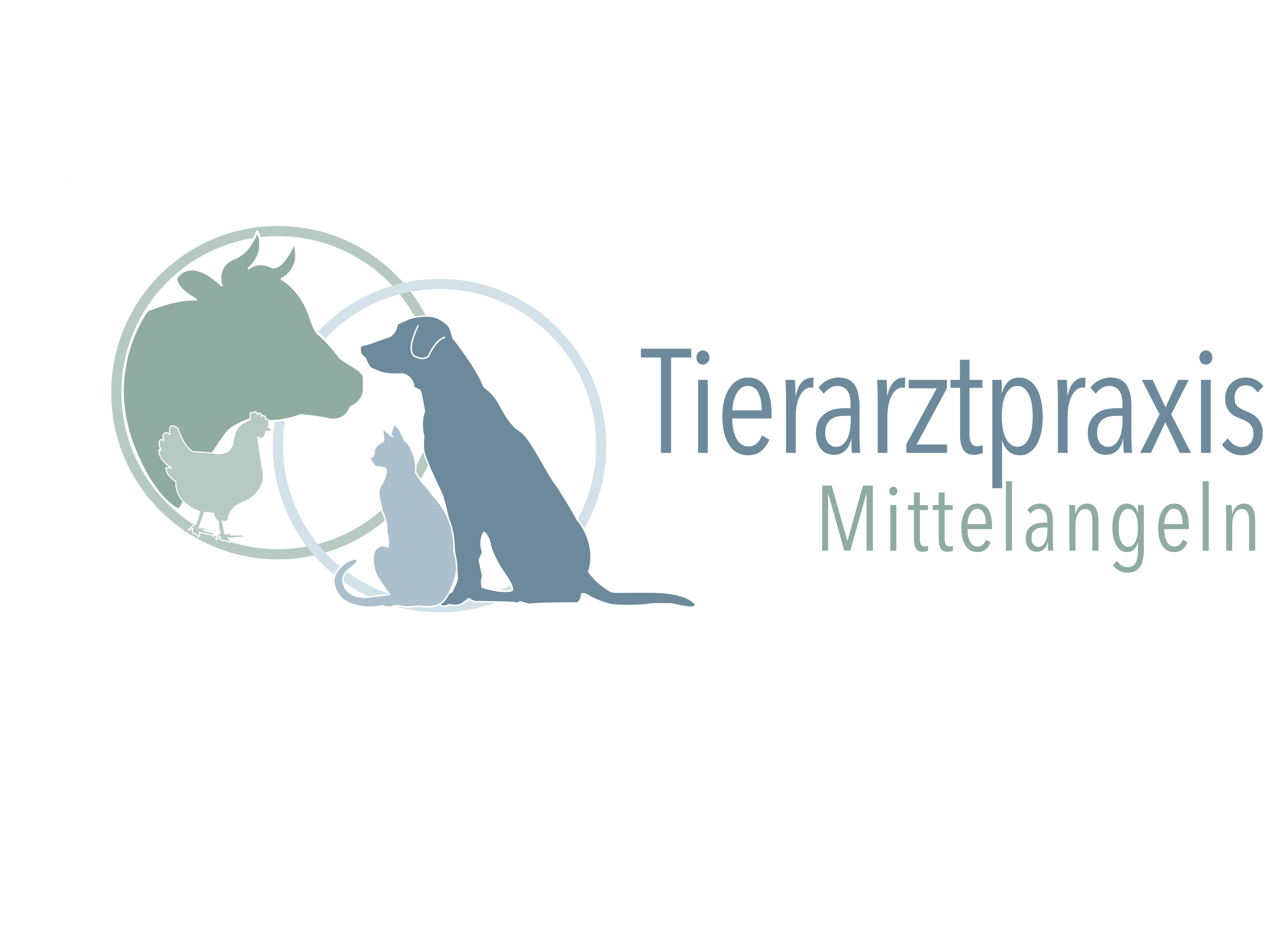 View 2 of Tierarztpraxis Mittelangeln