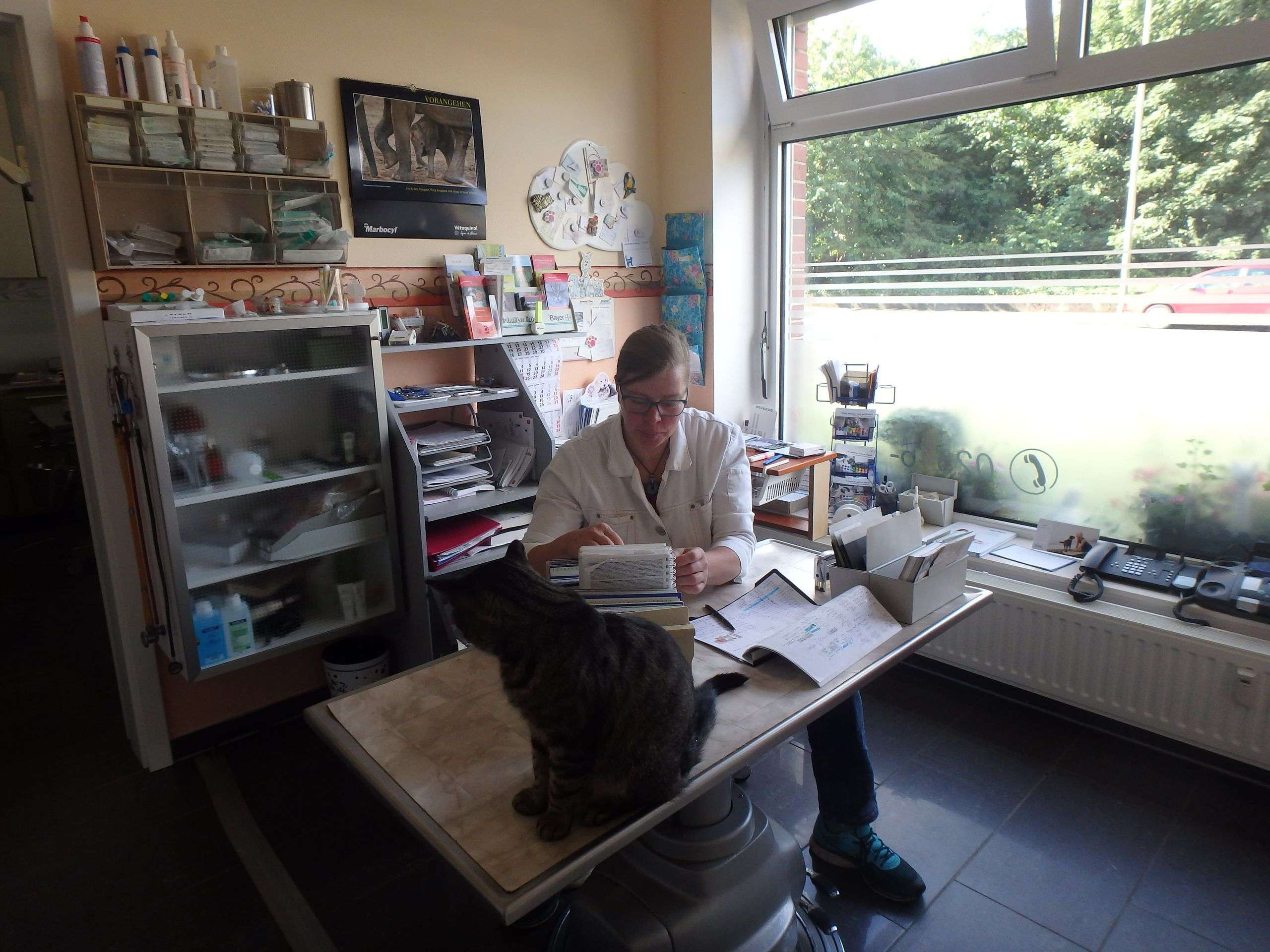 Ansicht 1 von Dr.med.vet. Veronika Madeiczyk Kleintierpraxis