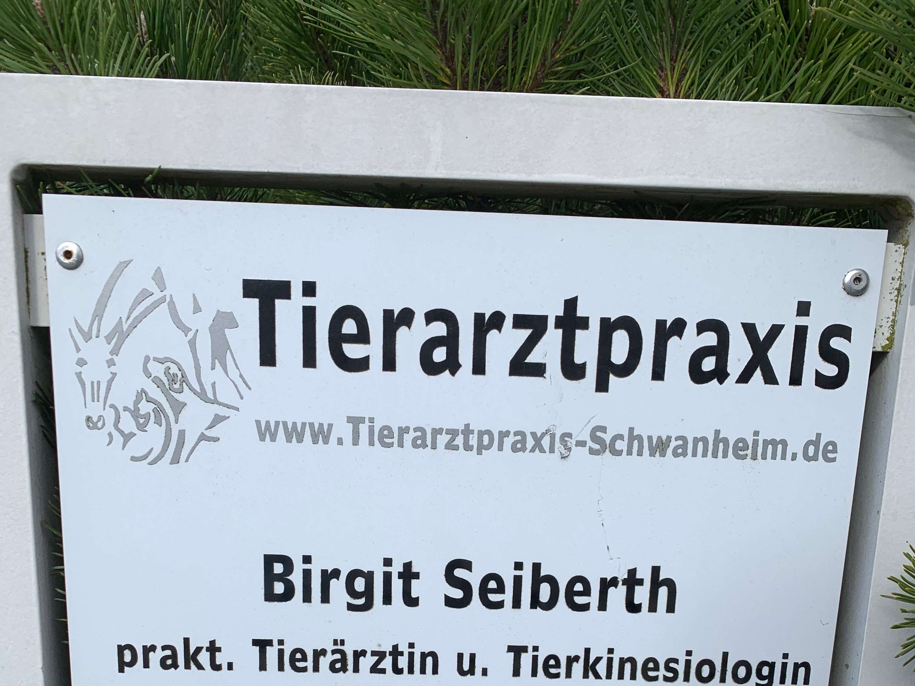 Ansicht 1 von Birgit Seiberth