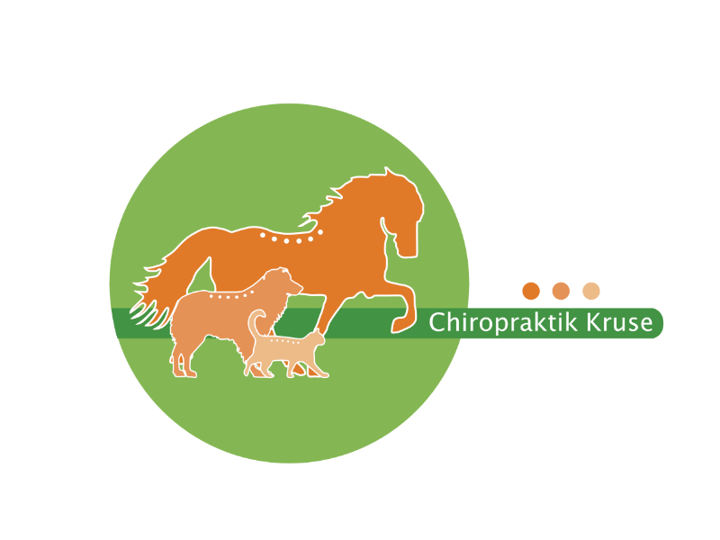 Ansicht 1 von Chiropraktik Kruse