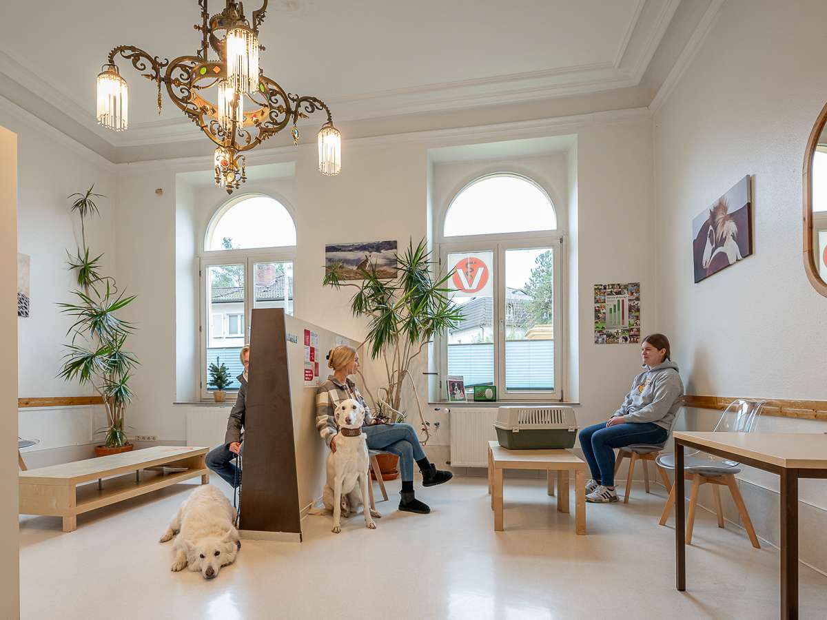 Ansicht 4 von Tierarzt Haan Bad Honnef, Tierarztpraxis Dr. Haan