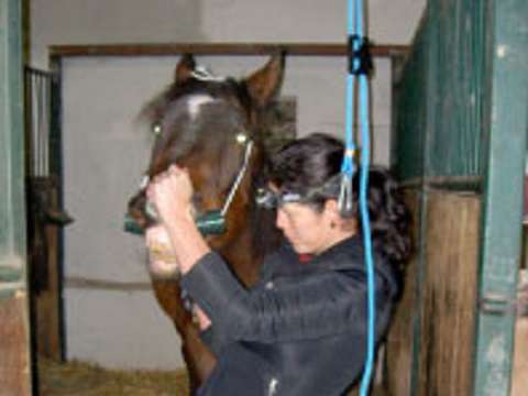 View 2 of HorseMed - Pferdepraxis