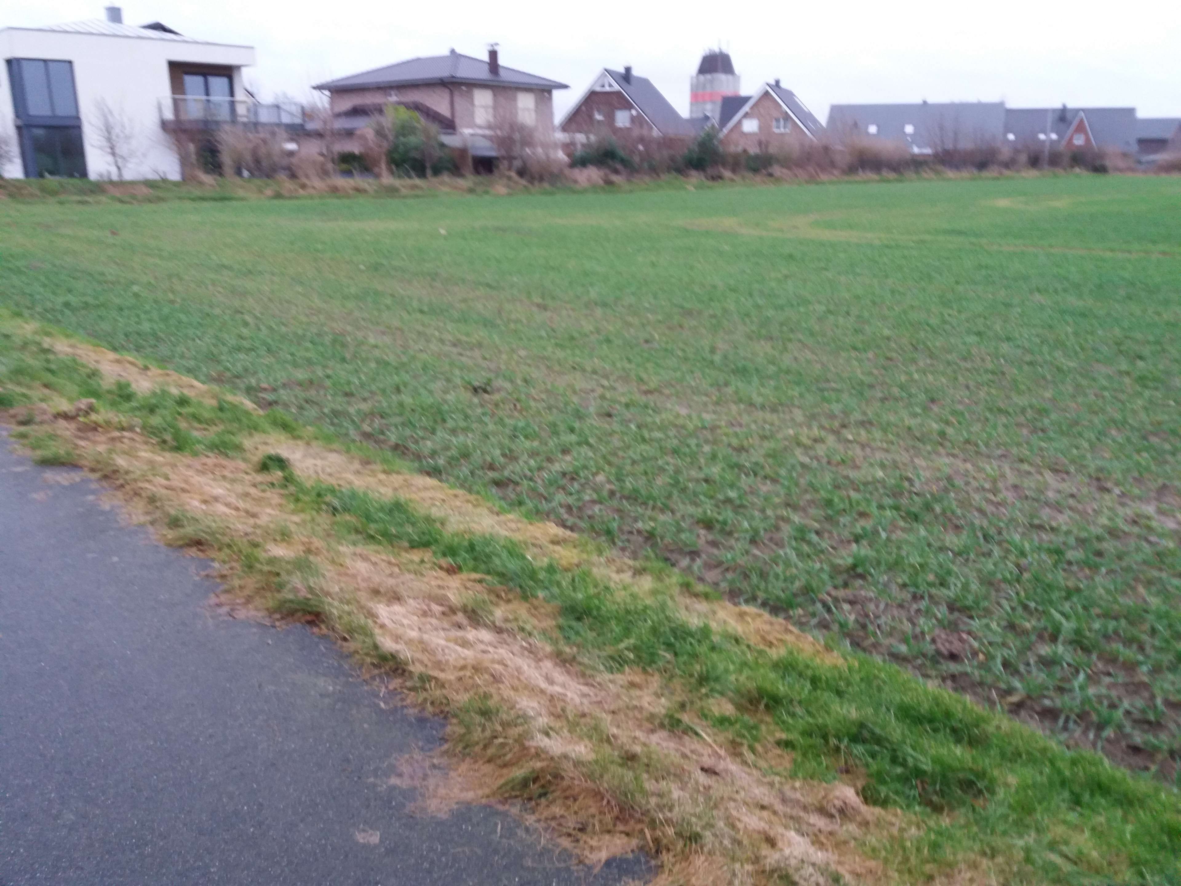 Ansicht 3 von Tierärztliche Praxis Marco Schwan