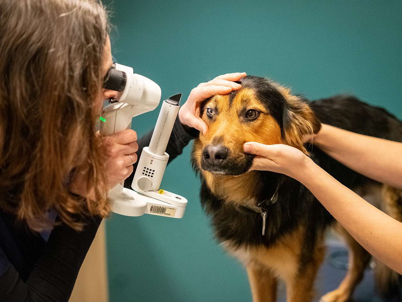 Ansicht 1 von Dr.med.vet. Petra Geisser Tierärztin