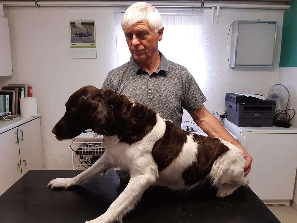 Ansicht 1 von Dr. Klaus Grajcarek Tierarzt