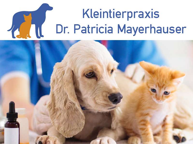 View 1 of Dr. P. Mayerhauser, Kleintierpraxis im Gewerbehof Unterfeldweg