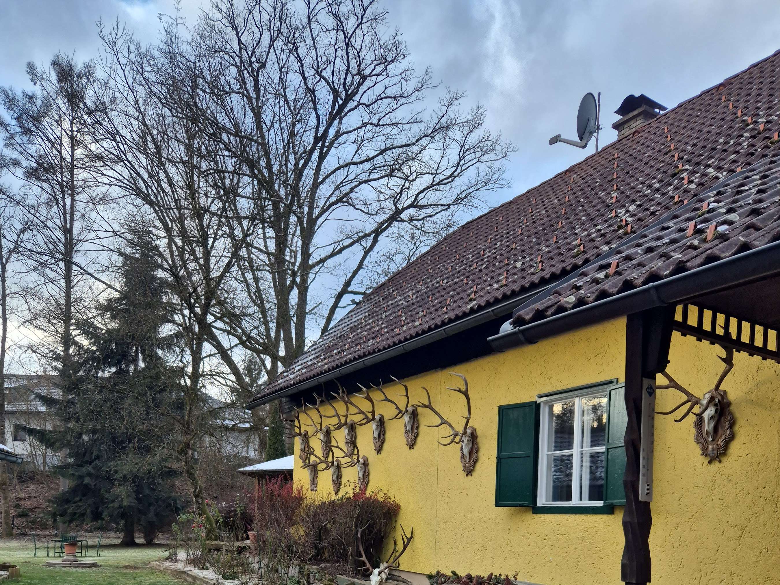 Ansicht 1 von Tierklinik Erdmann