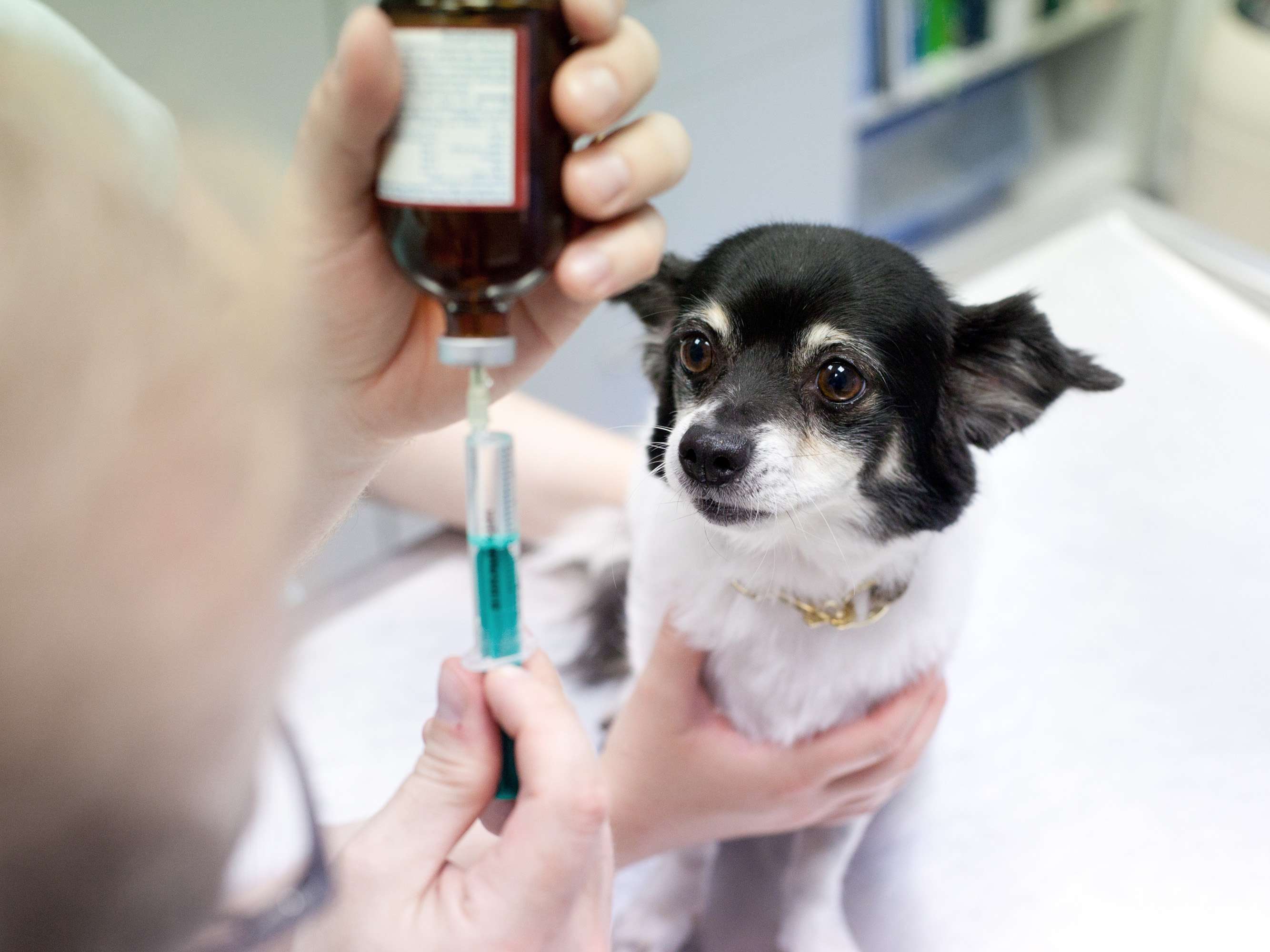 Ansicht 2 von Tierarzt Dr. Christoph Szober